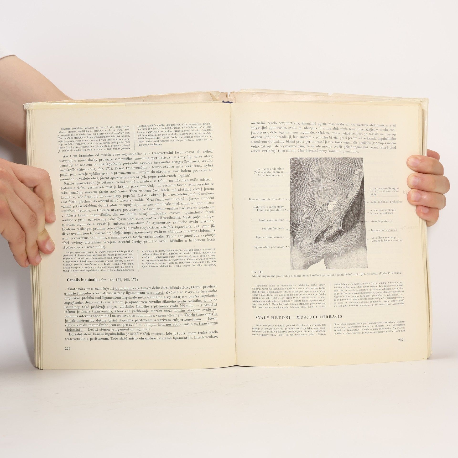 Ladislav Borovanský Soustavná anatomie člověka I