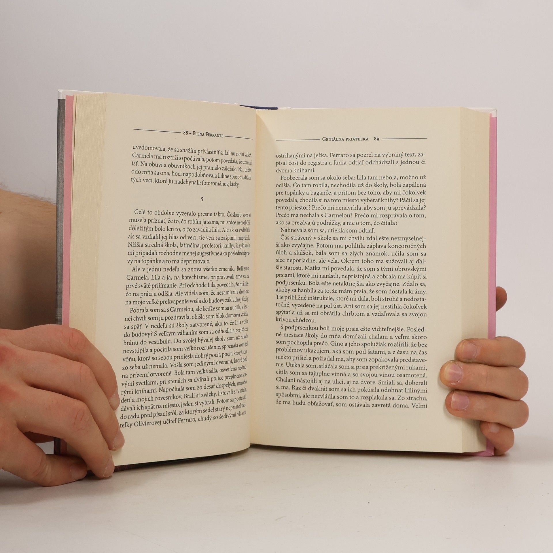 Elena Ferrante Geniálna priateľka