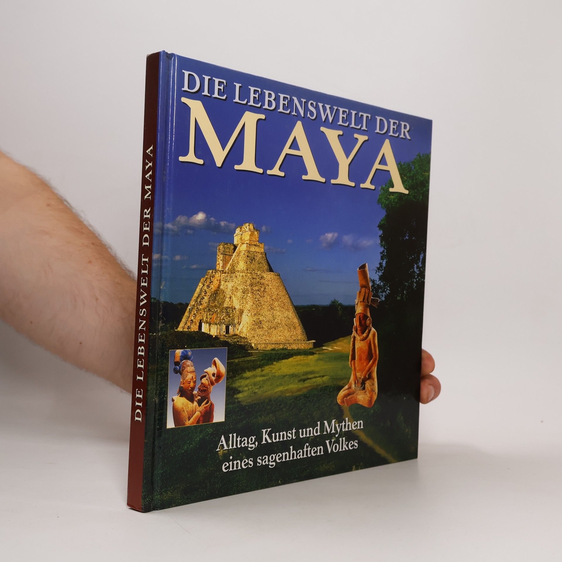 Timothy Laughton Die Lebenswelt der Maya