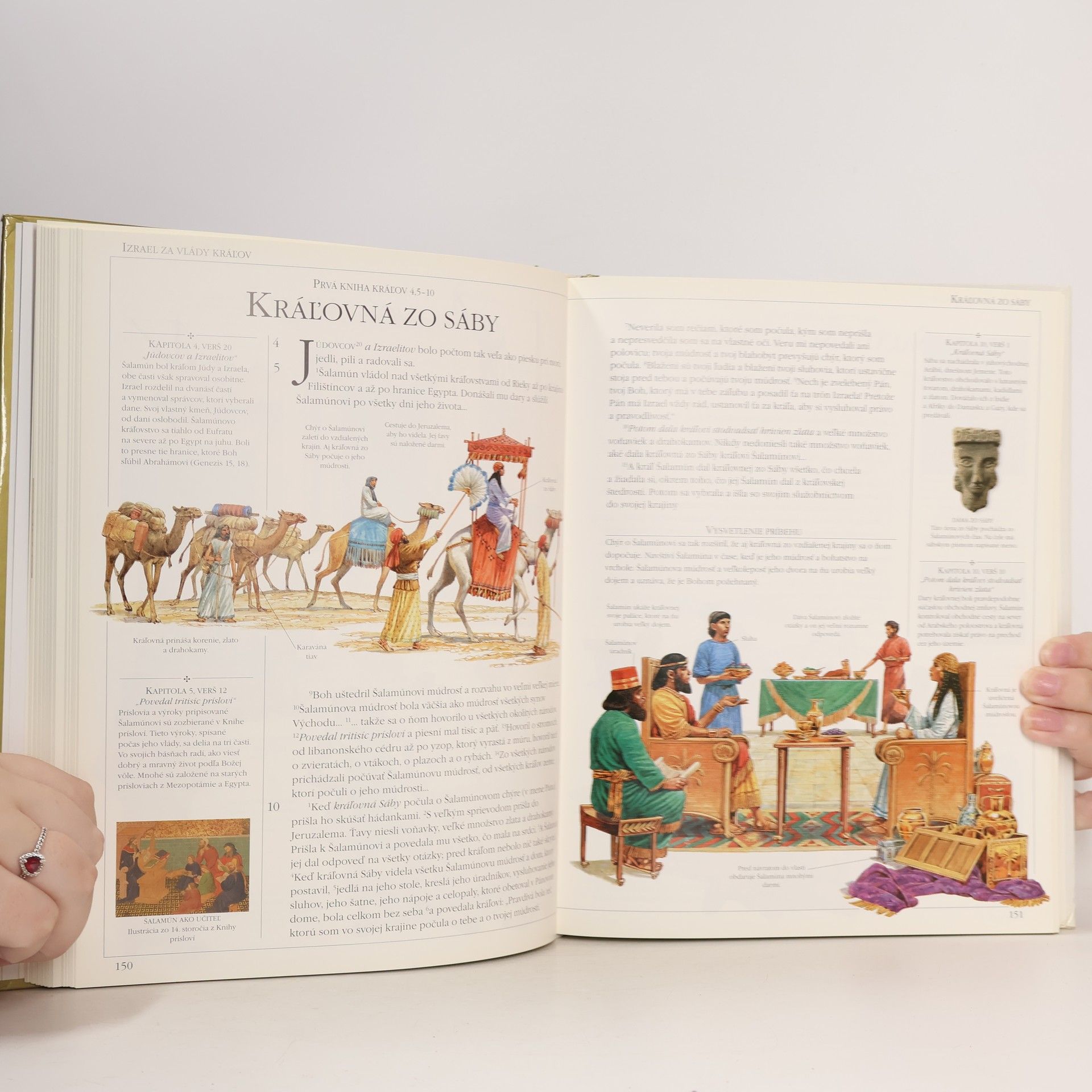 Autorenkollektiv Rodinná Biblia