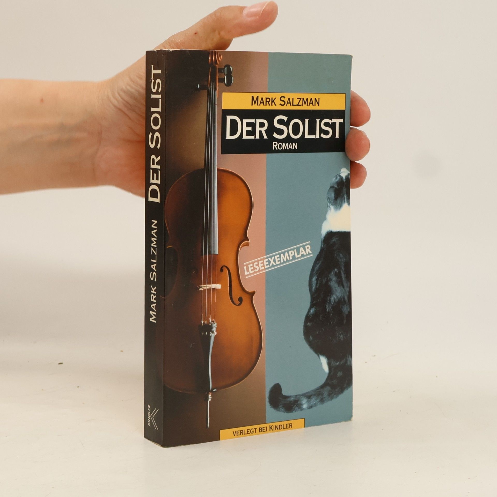 Mark Salzman Der Solist
