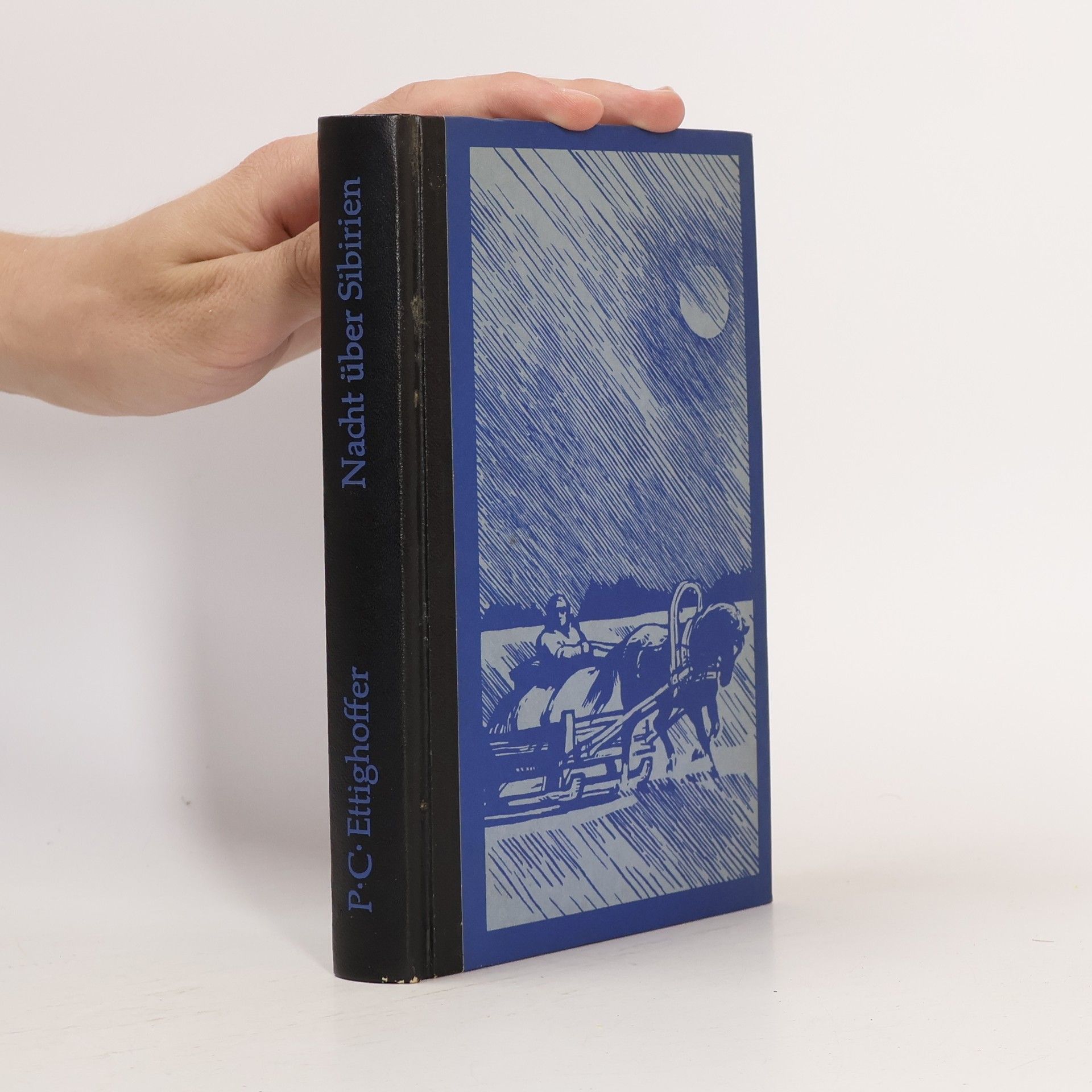 Paul Coelestin Ettighoffer Nacht über Sibirien