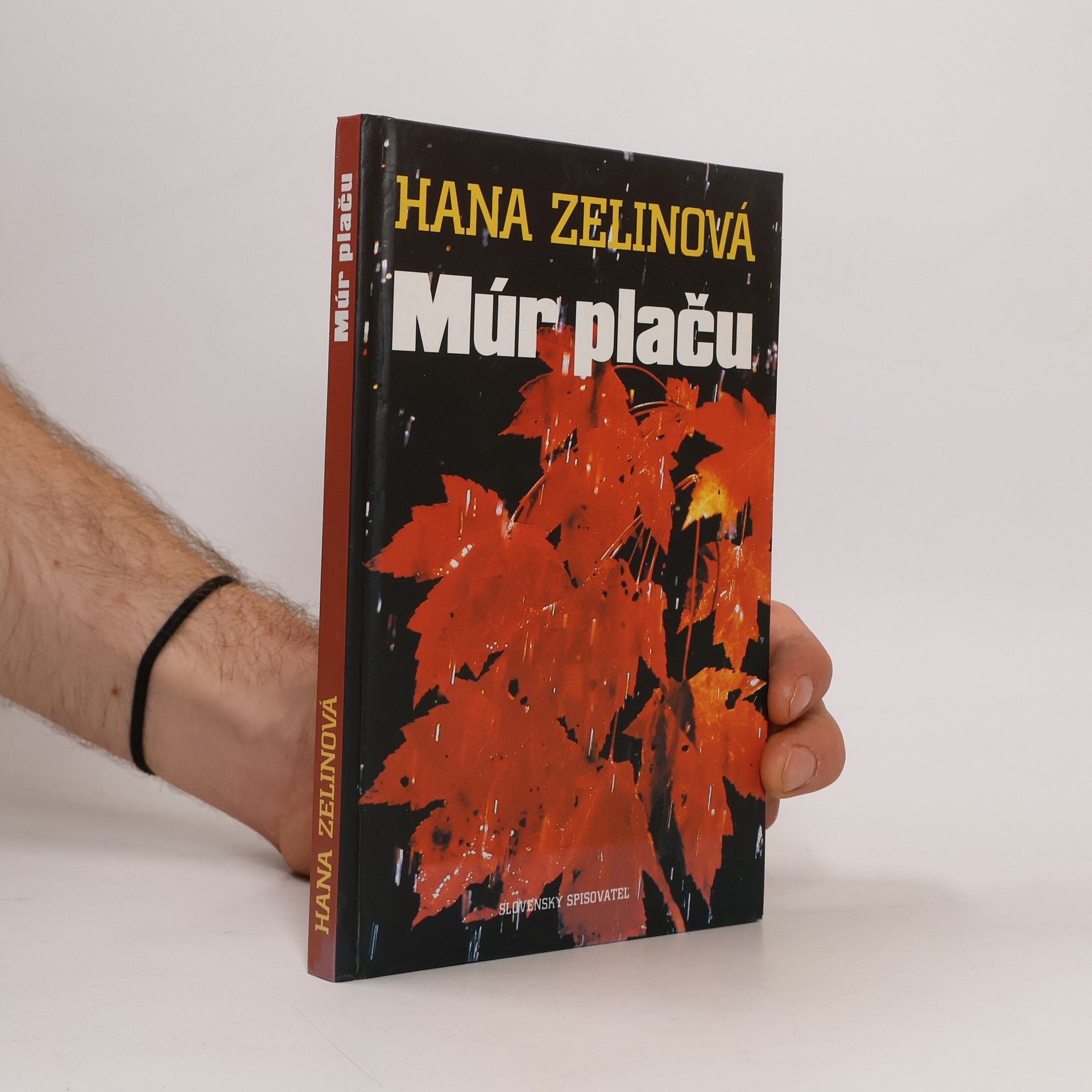 Hana Zelinová Múr plaču