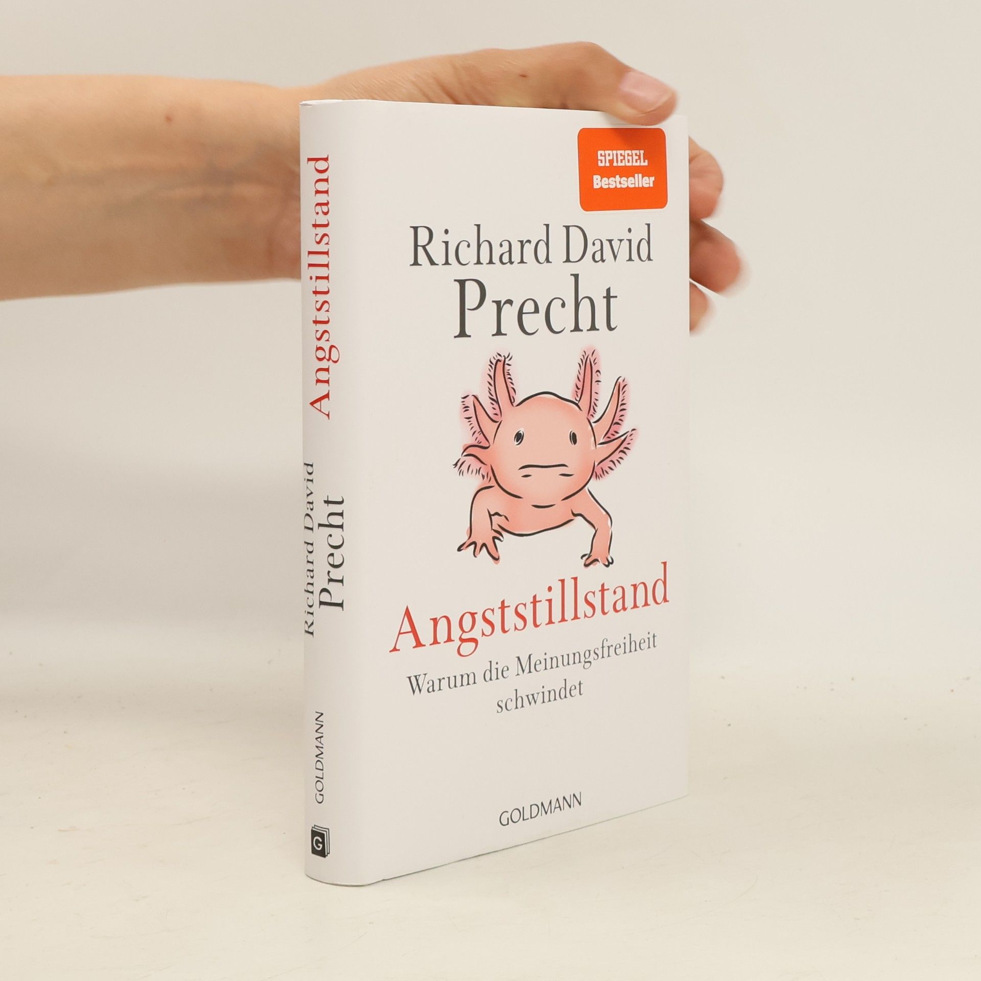 Richard David Precht Angststillstand