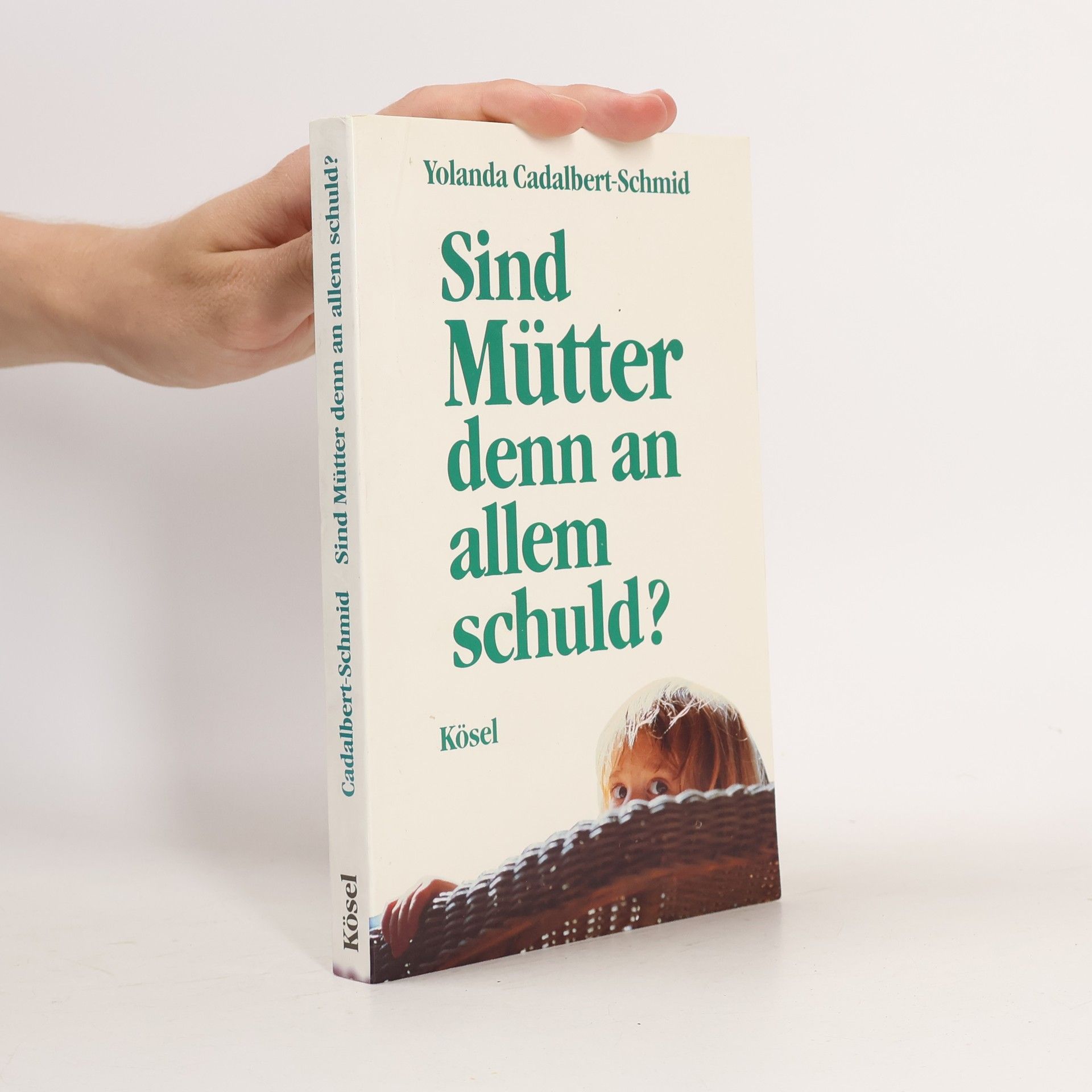 Yolanda Cadalbert Schmid Sind Mütter denn an allem schuld?