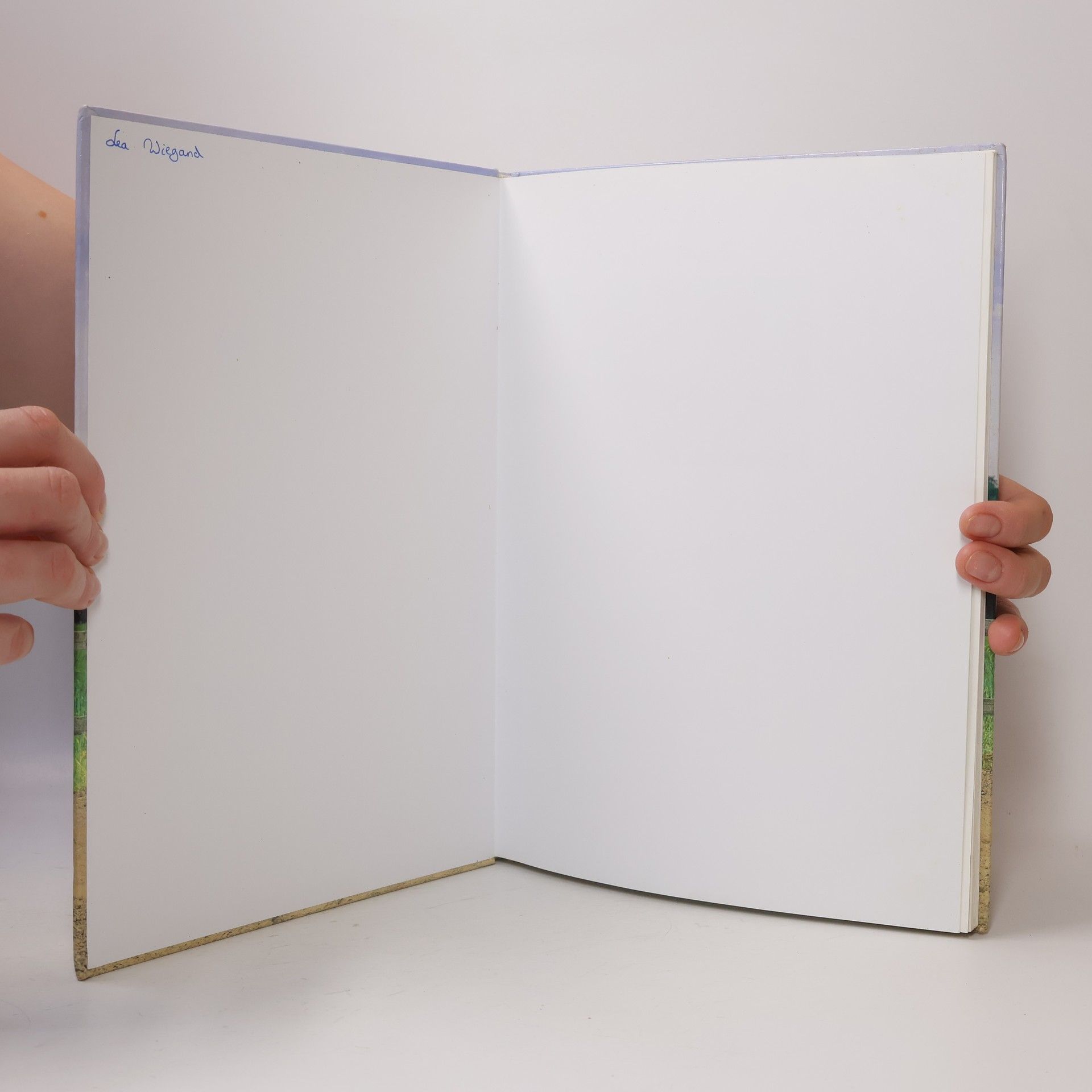 Various authors Pferde. Rassen, Pflegen, Verstehen