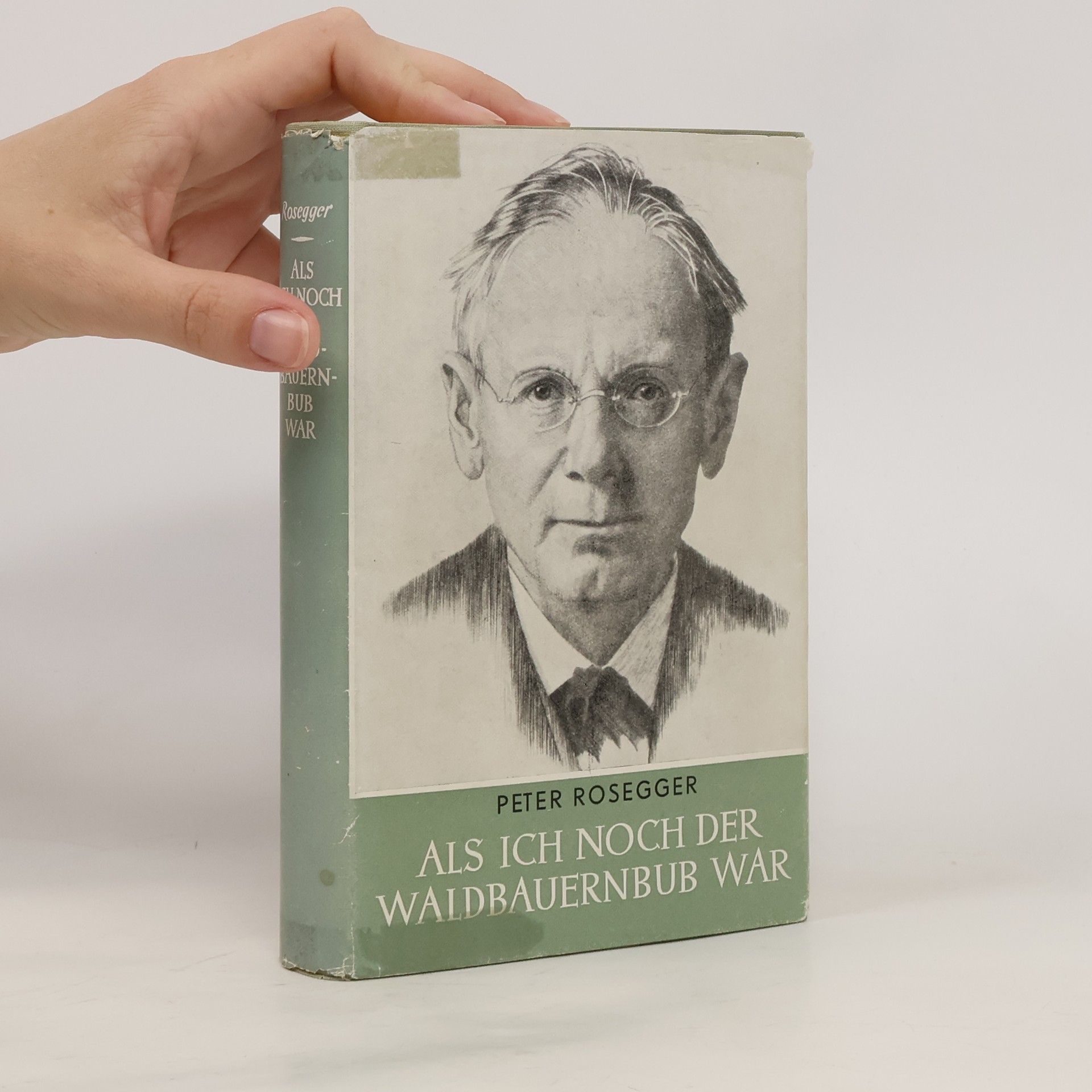 Peter Rosegger Als ich noch der Waldbauernbub war