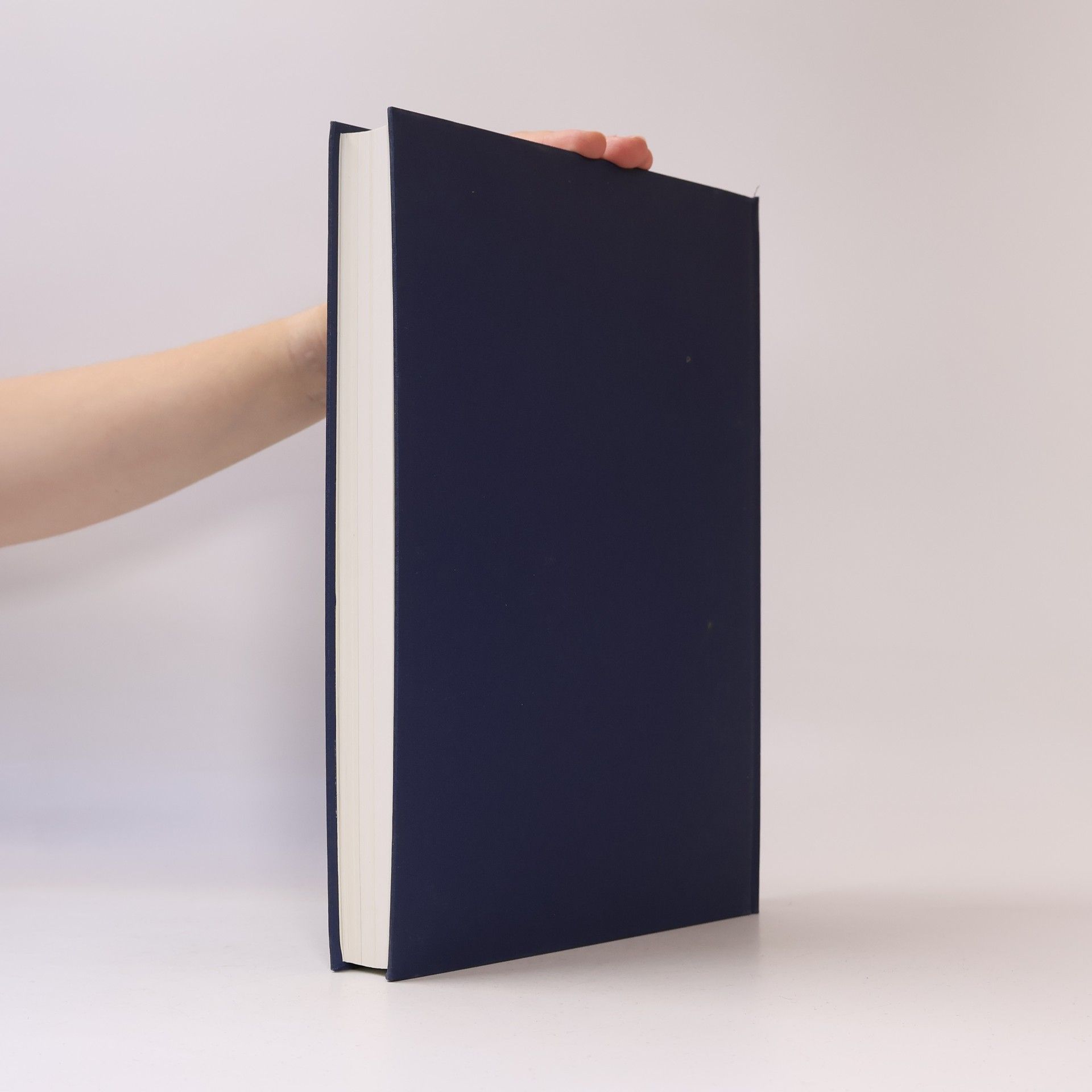 Autores varios Der Steuerberater 2002