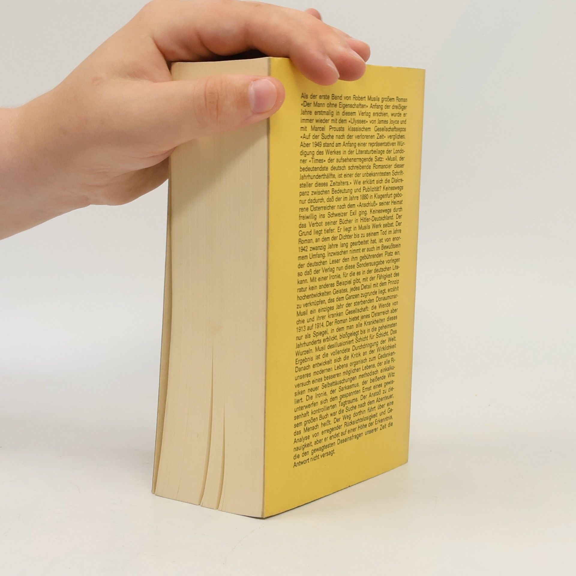 Robert Musil Der Mann ohne Eigenschaften