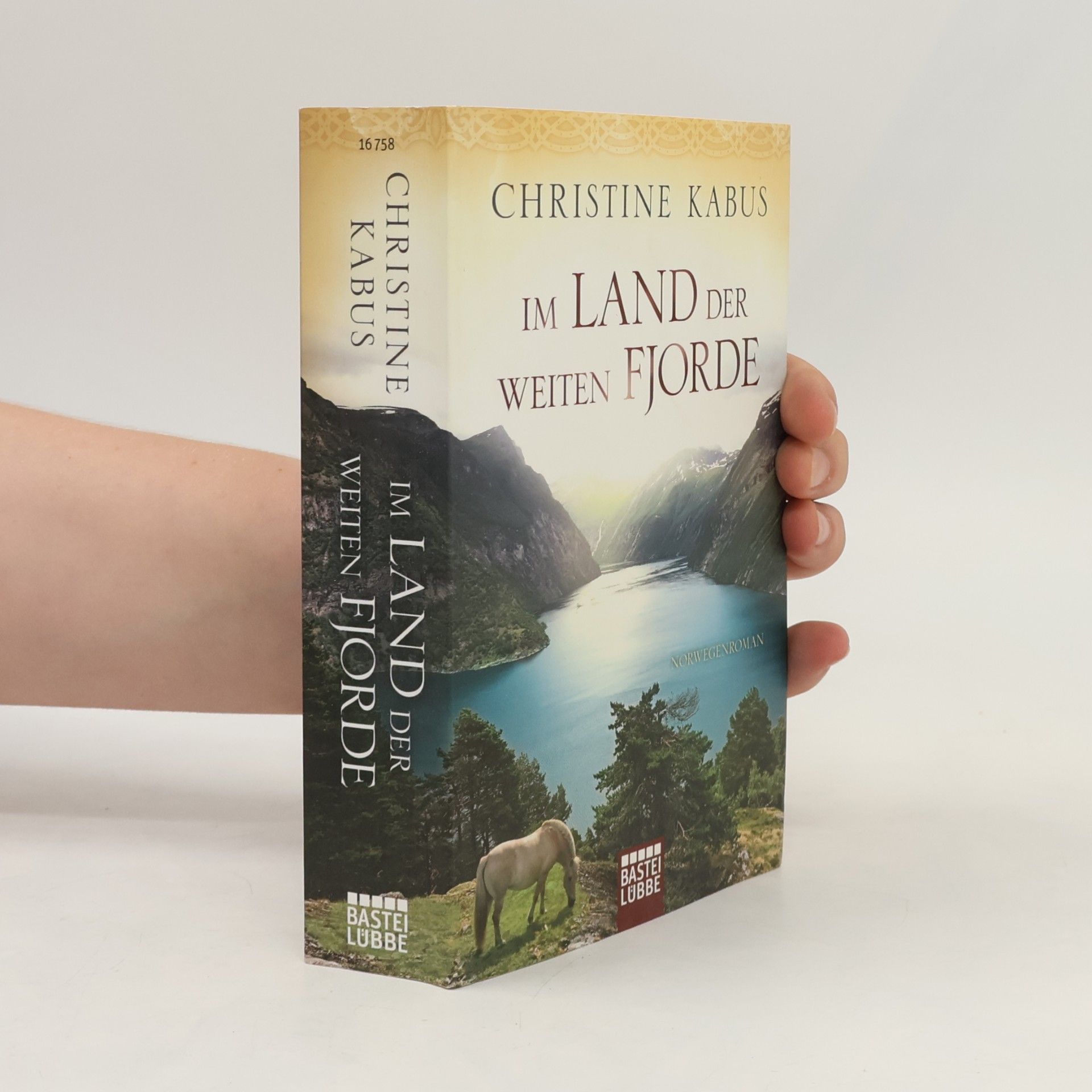 Christine Kabus Im Land der weiten Fjorde