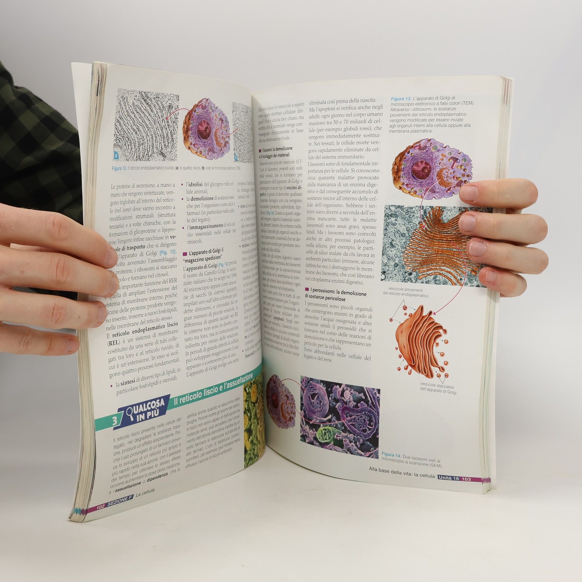 Massimo Crippa Scienze naturali 2