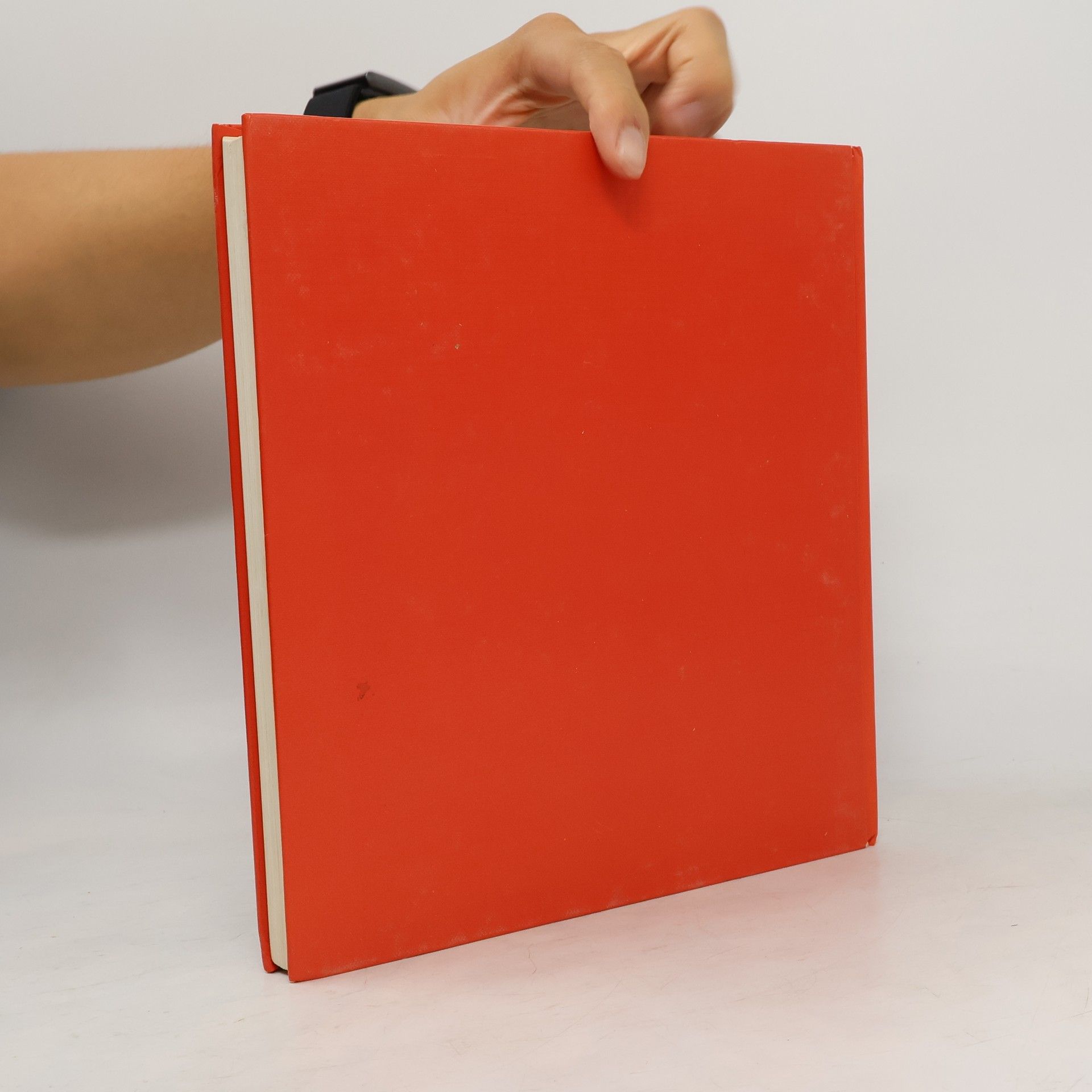 Ulrike Betti Neues Handarbeitsbuch in Farbe