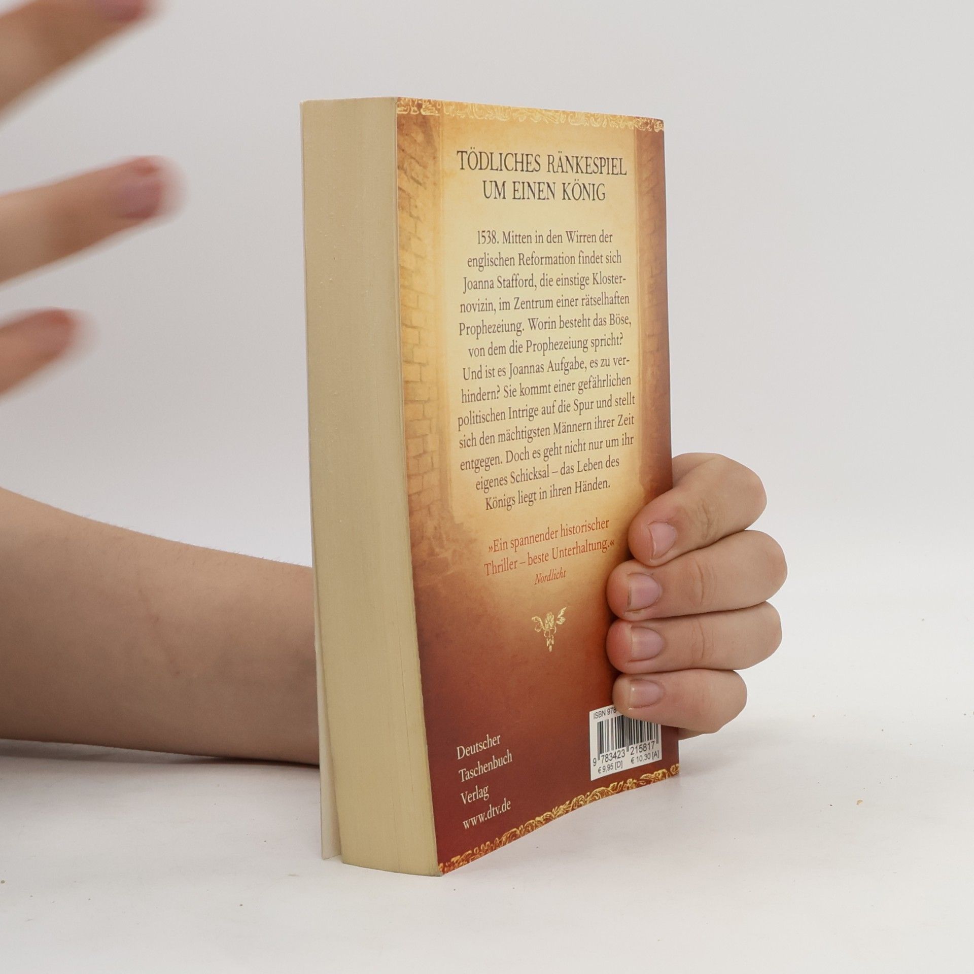 Nancy Bilyeau Die Prophezeiung der Nonne