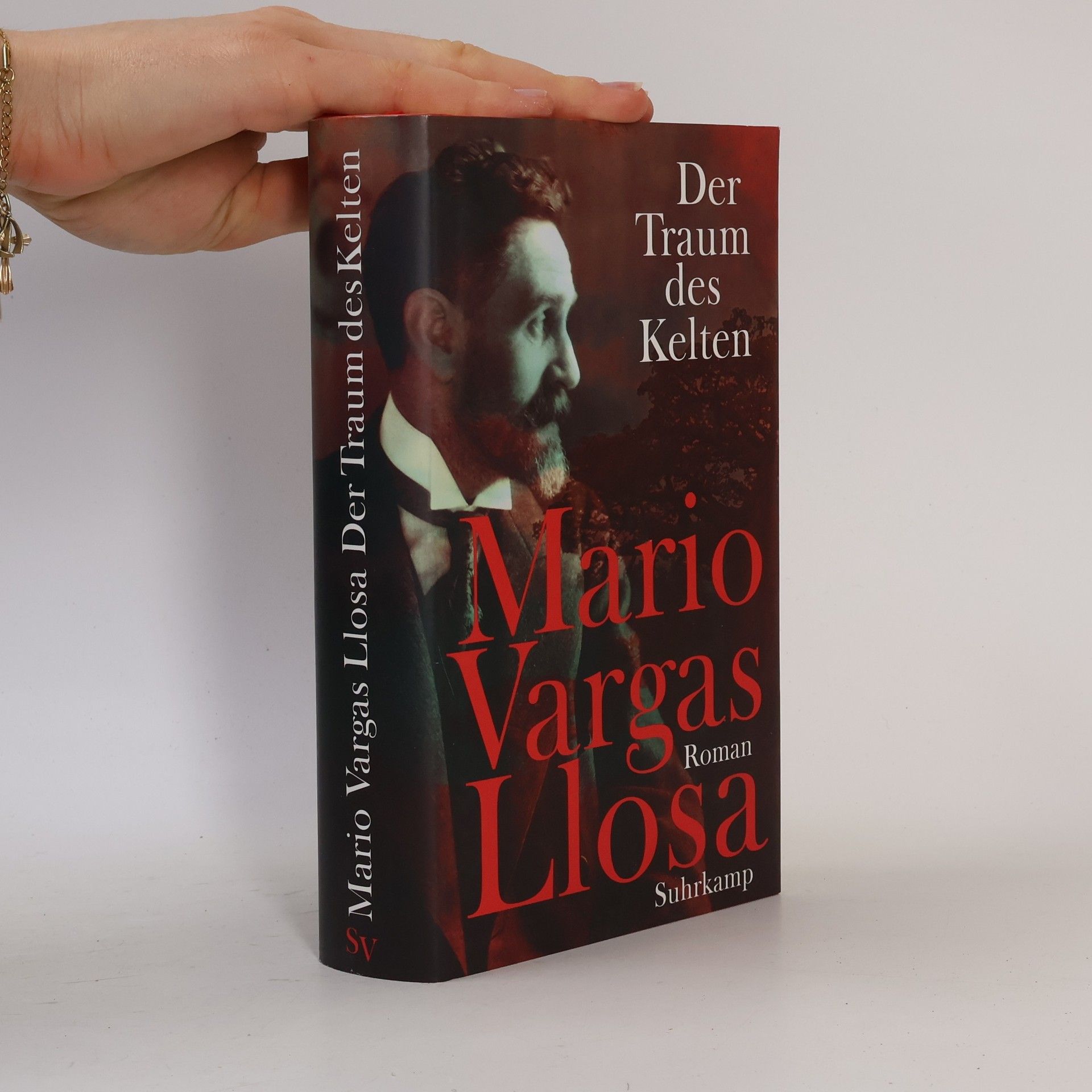 Mario Vargas Llosa Der Traum des Kelten
