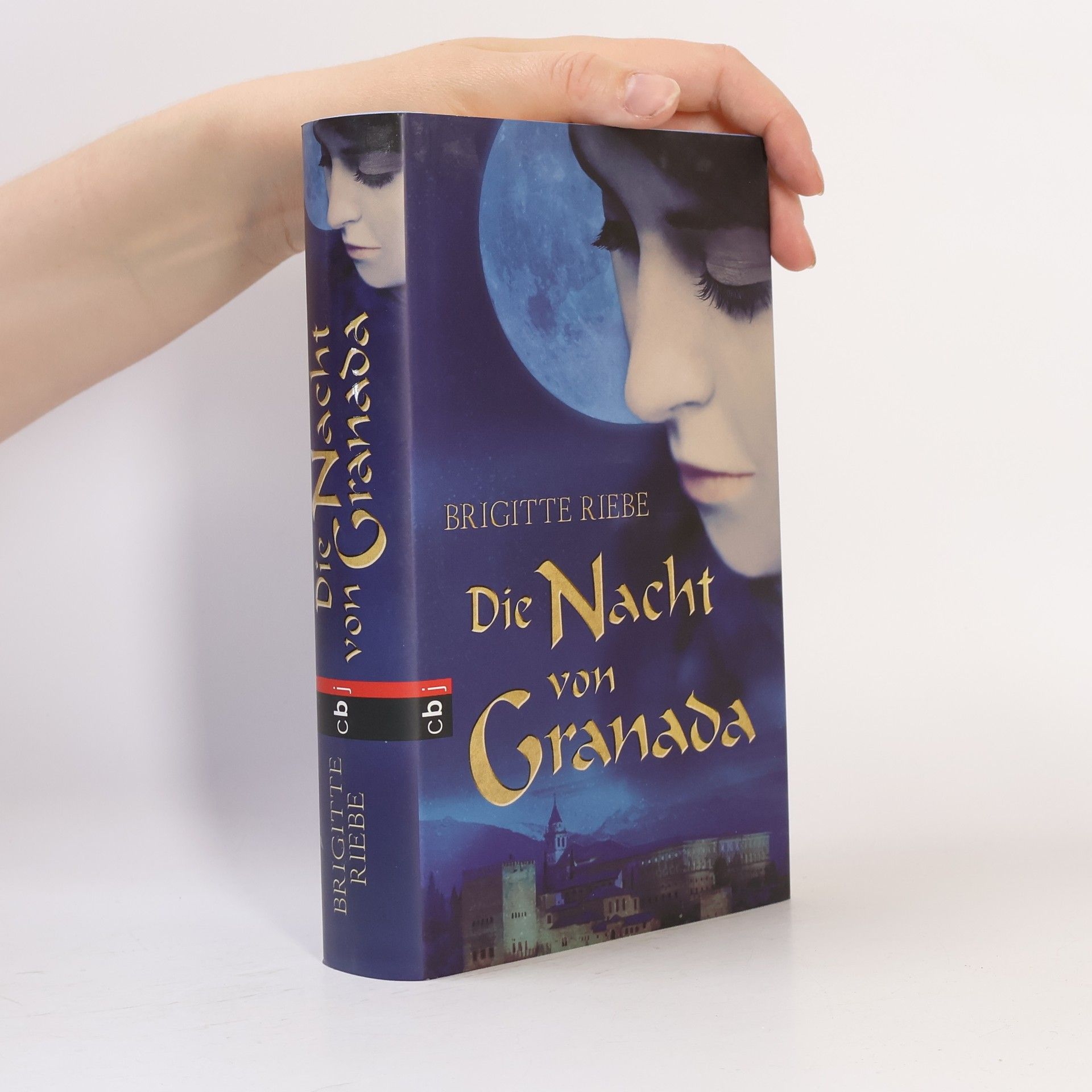 Brigitte Riebe Die Nacht von Granada