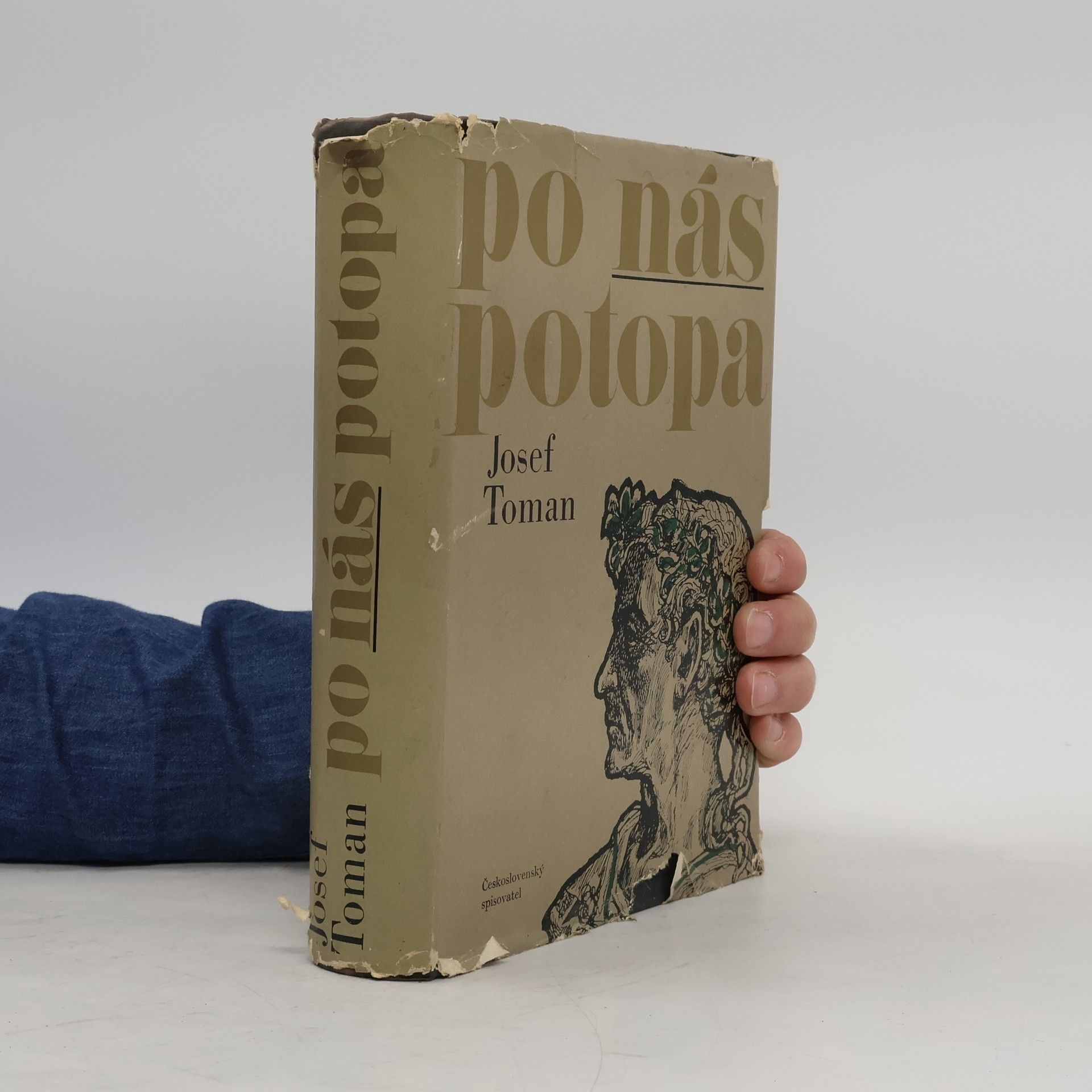 Josef Toman Po nás potopa