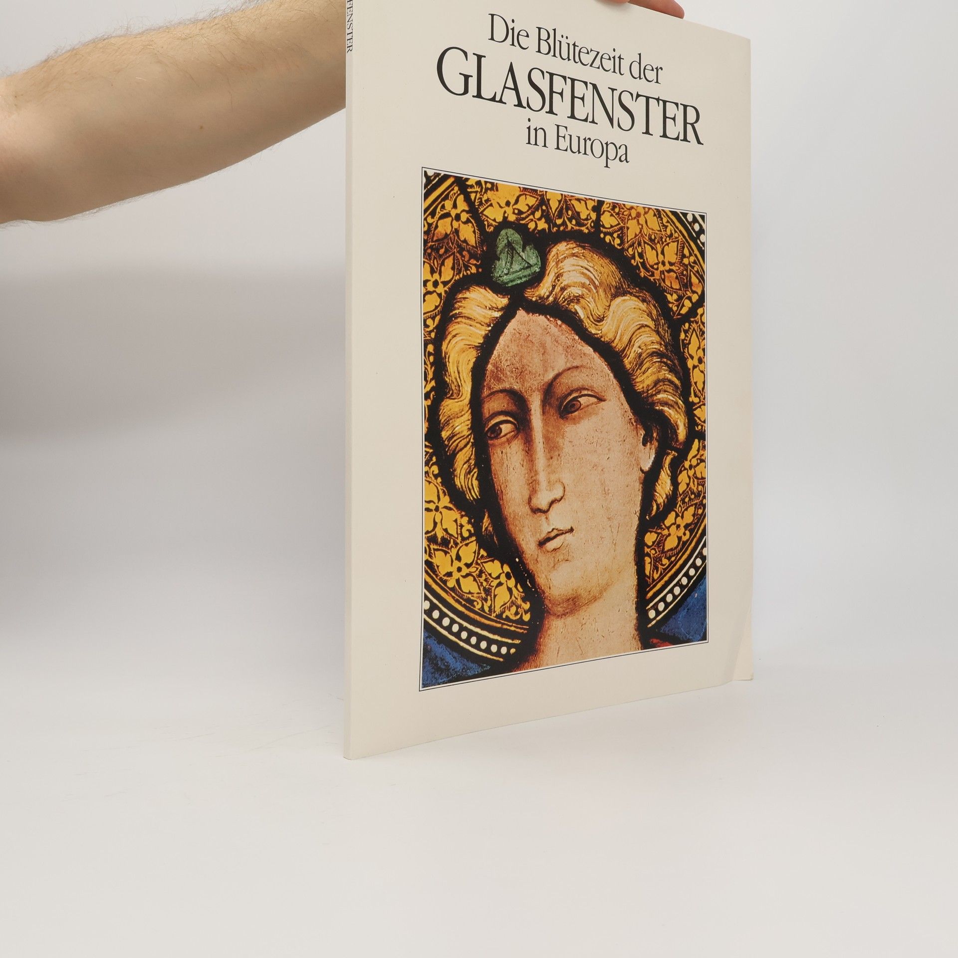 Eva Fitz Die Blütezeit der Glasfenster in Europa