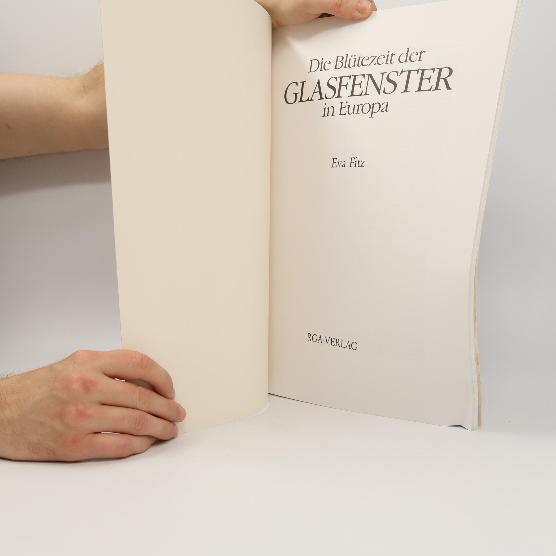 Eva Fitz Die Blütezeit der Glasfenster in Europa