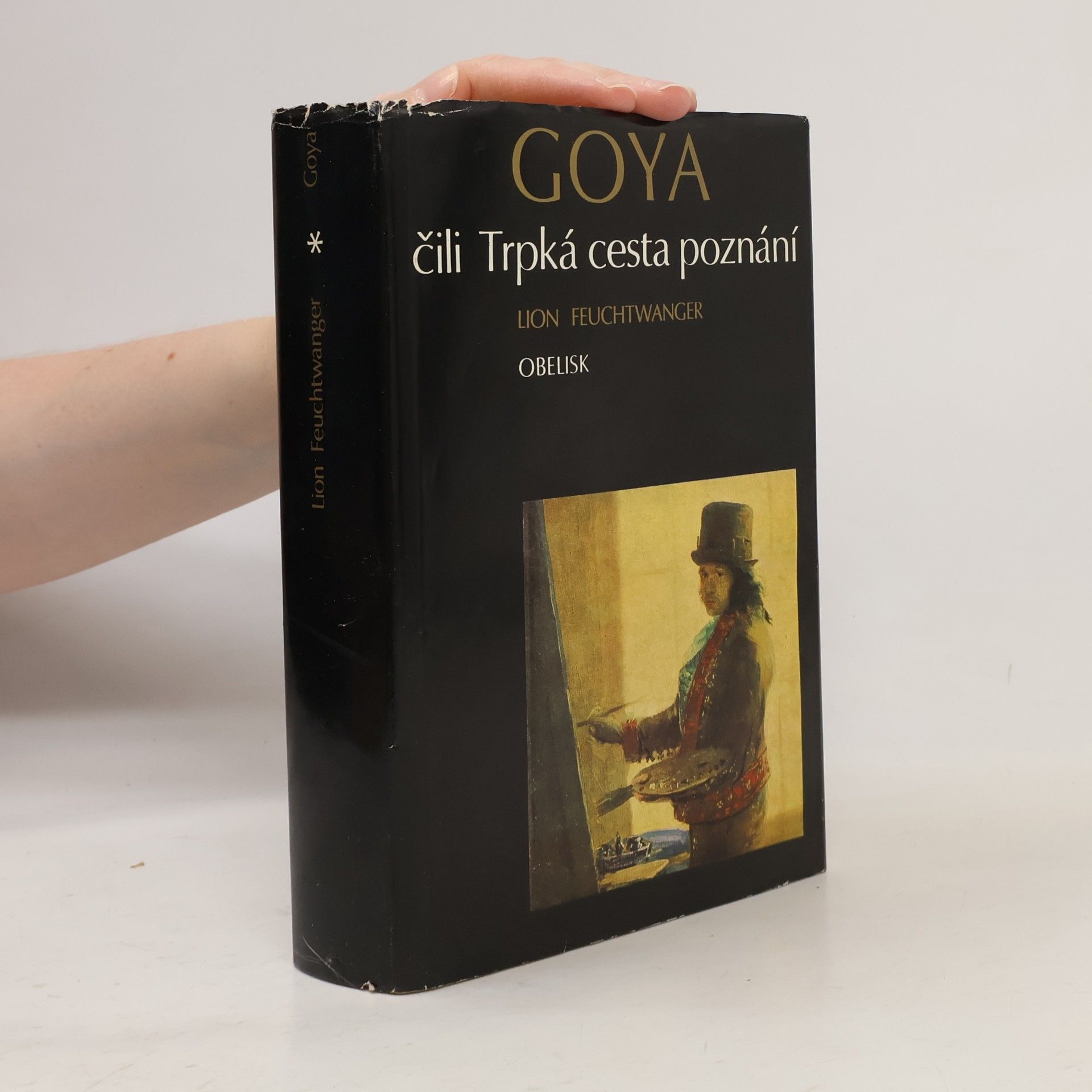 Lion Feuchtwanger Goya čili Trpká cesta poznání
