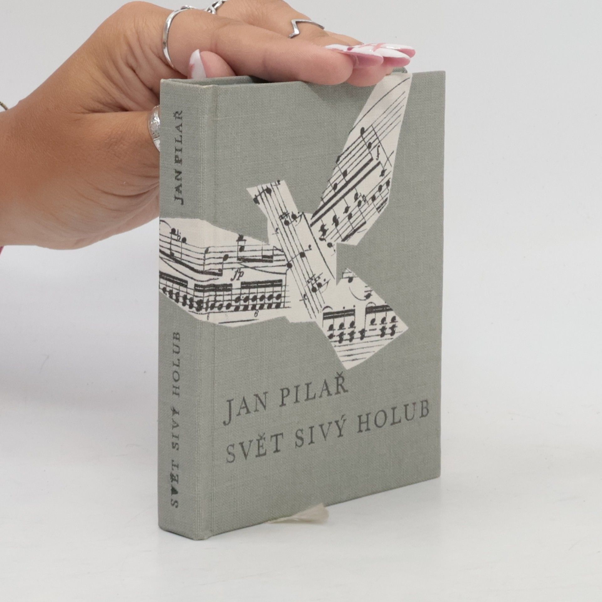 Jan Pilař Svět sivý holub