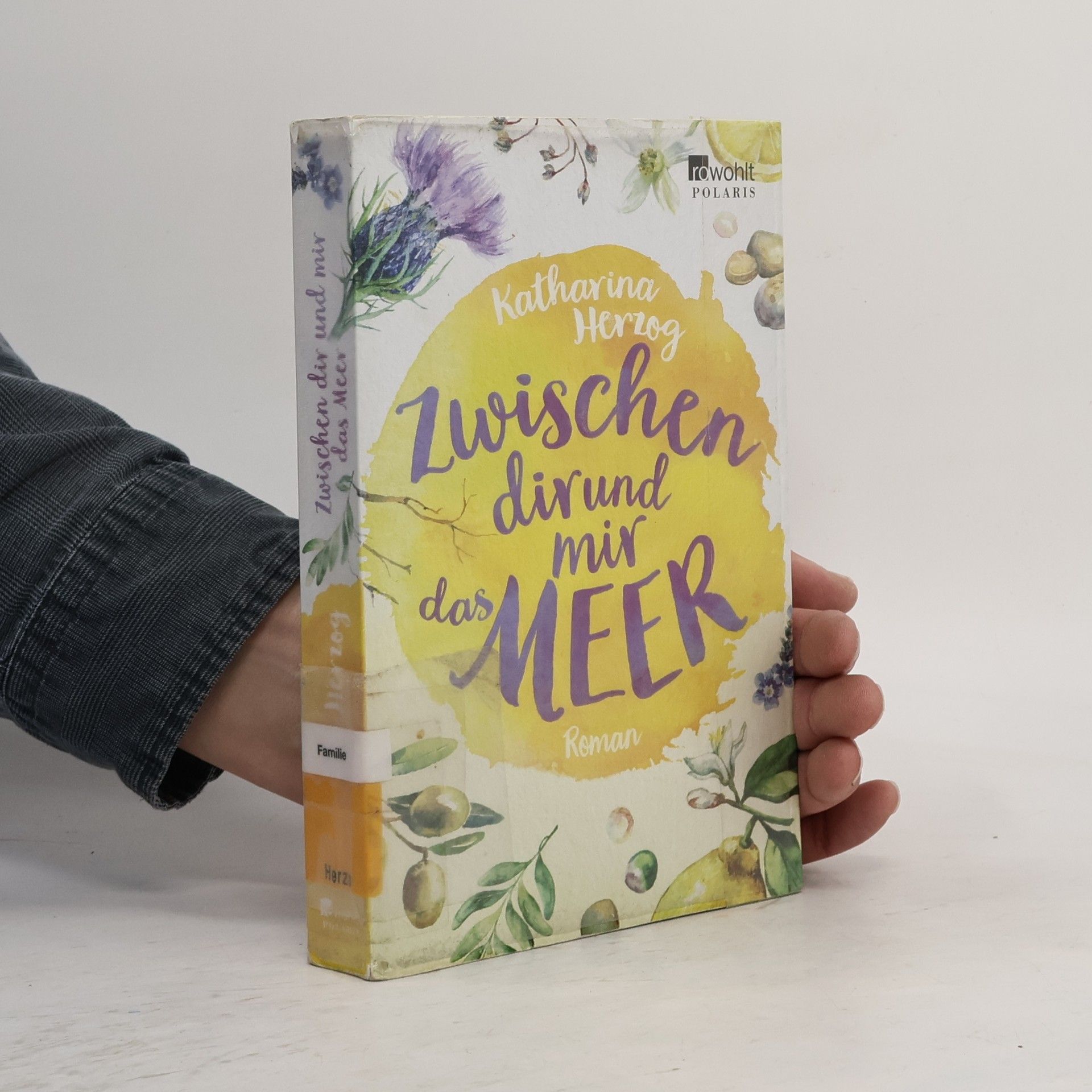 Katharina Herzog Zwischen dir und mir das Meer