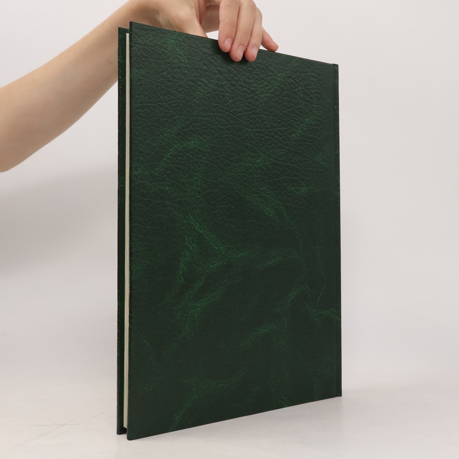 Collectif d'auteurs Cocina Natural