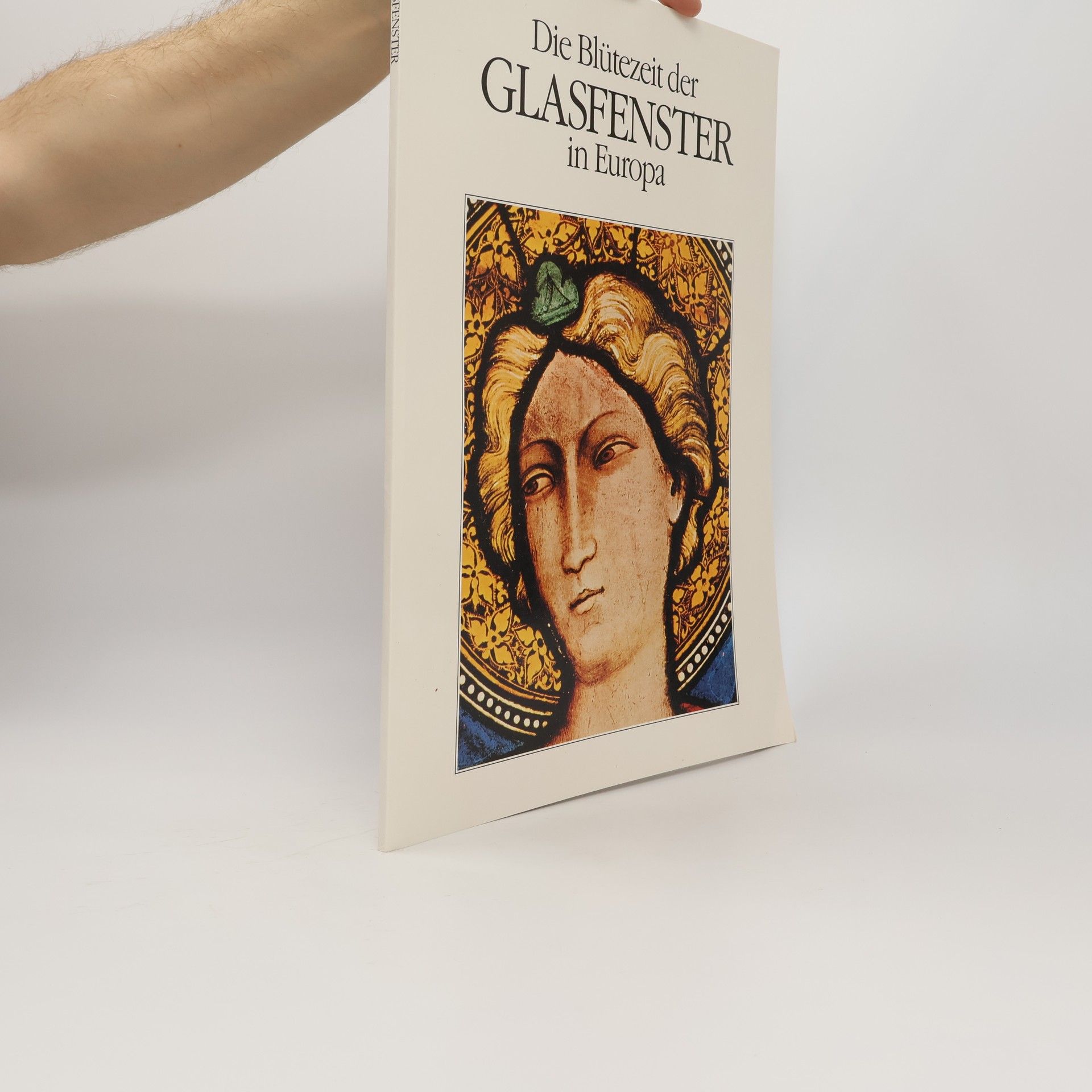 Various authors Die Blütezeit der Glasfenster in Europa