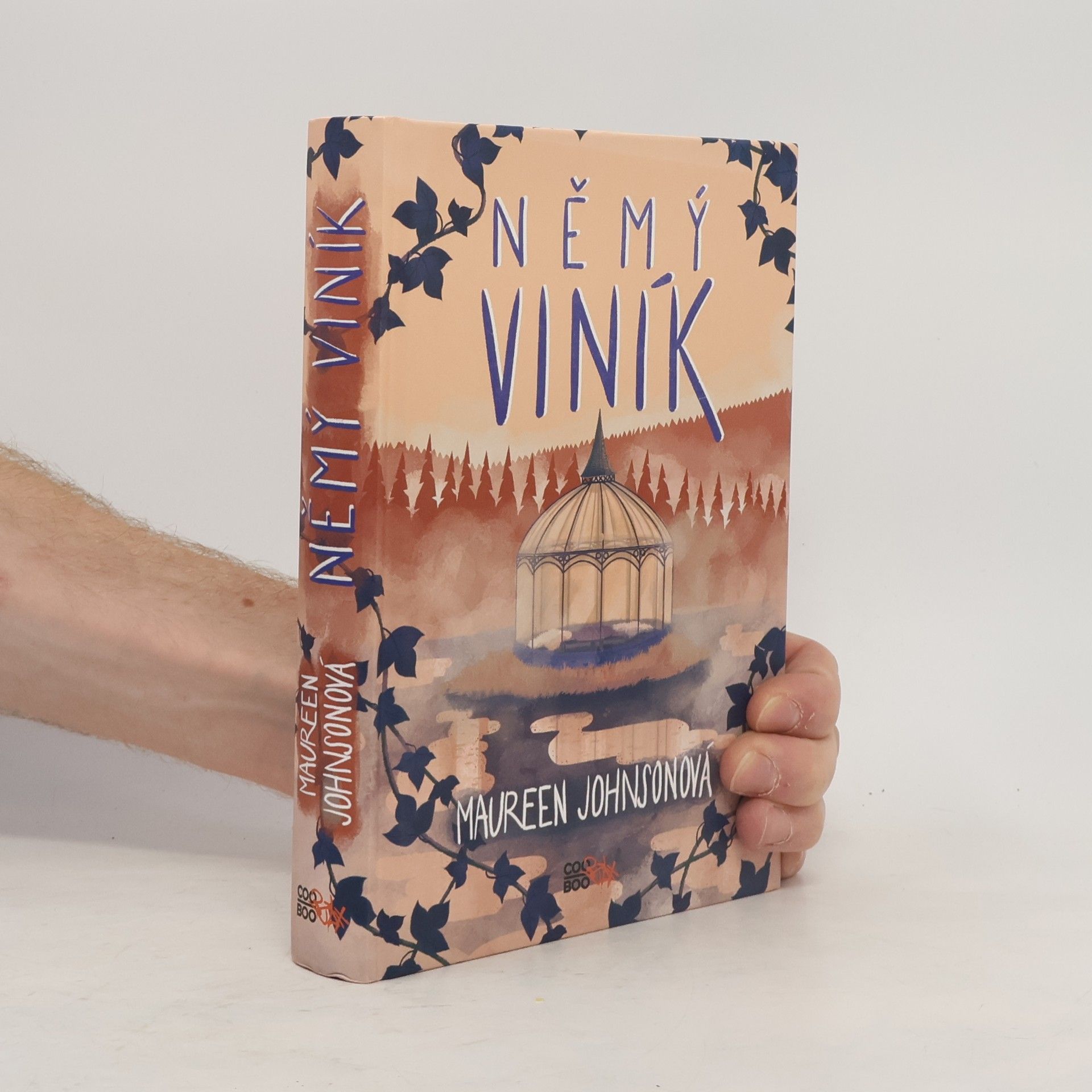 Maureen Johnson Němý viník