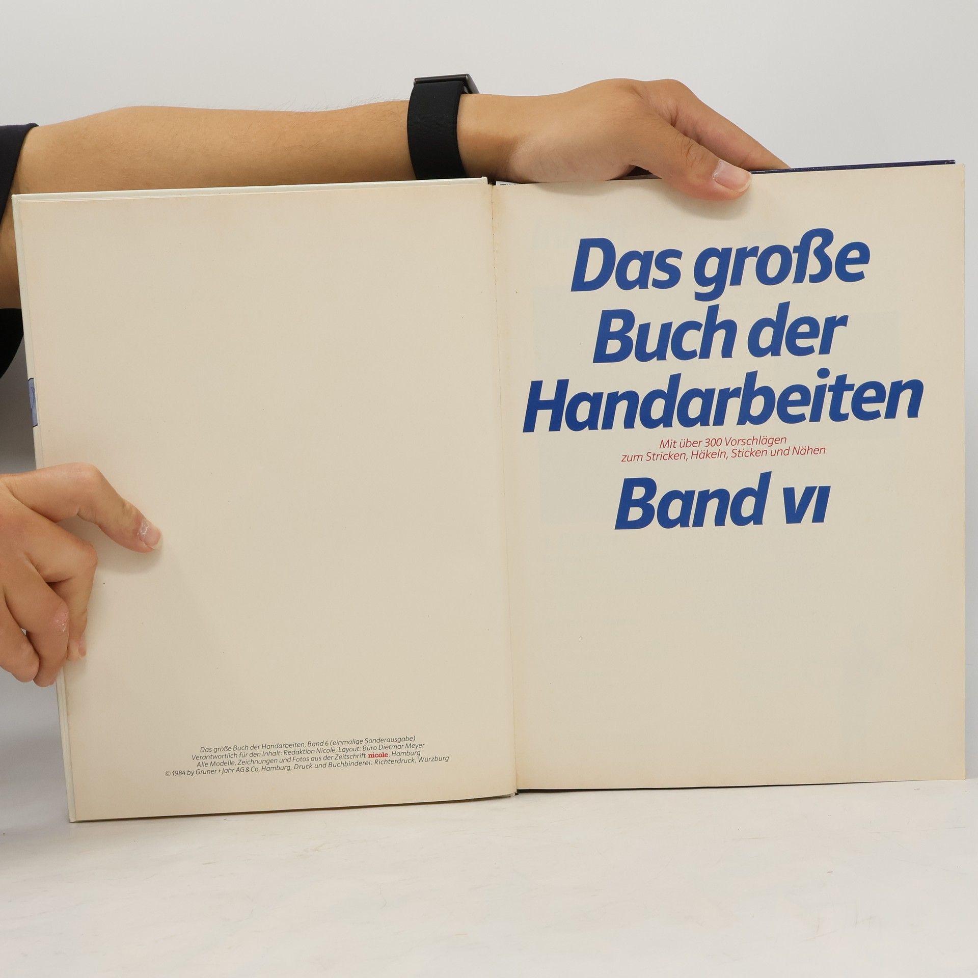 Autorenkollektiv Das große Buch der Handarbeiten VI