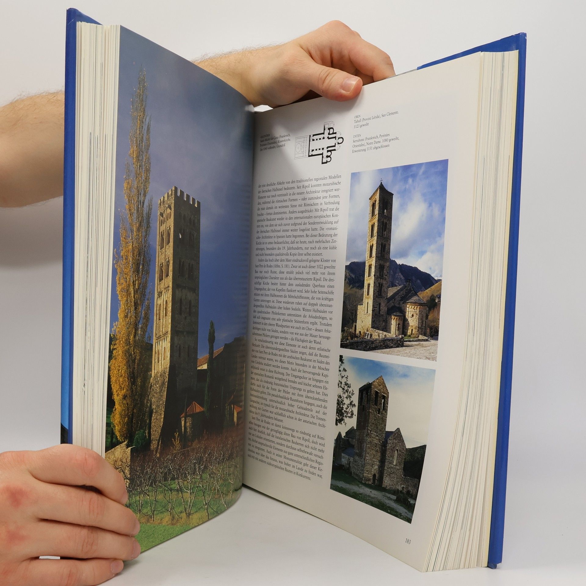 Rolf Toman Die Kunst der Romanik : Architektur, Skulptur, Malerei