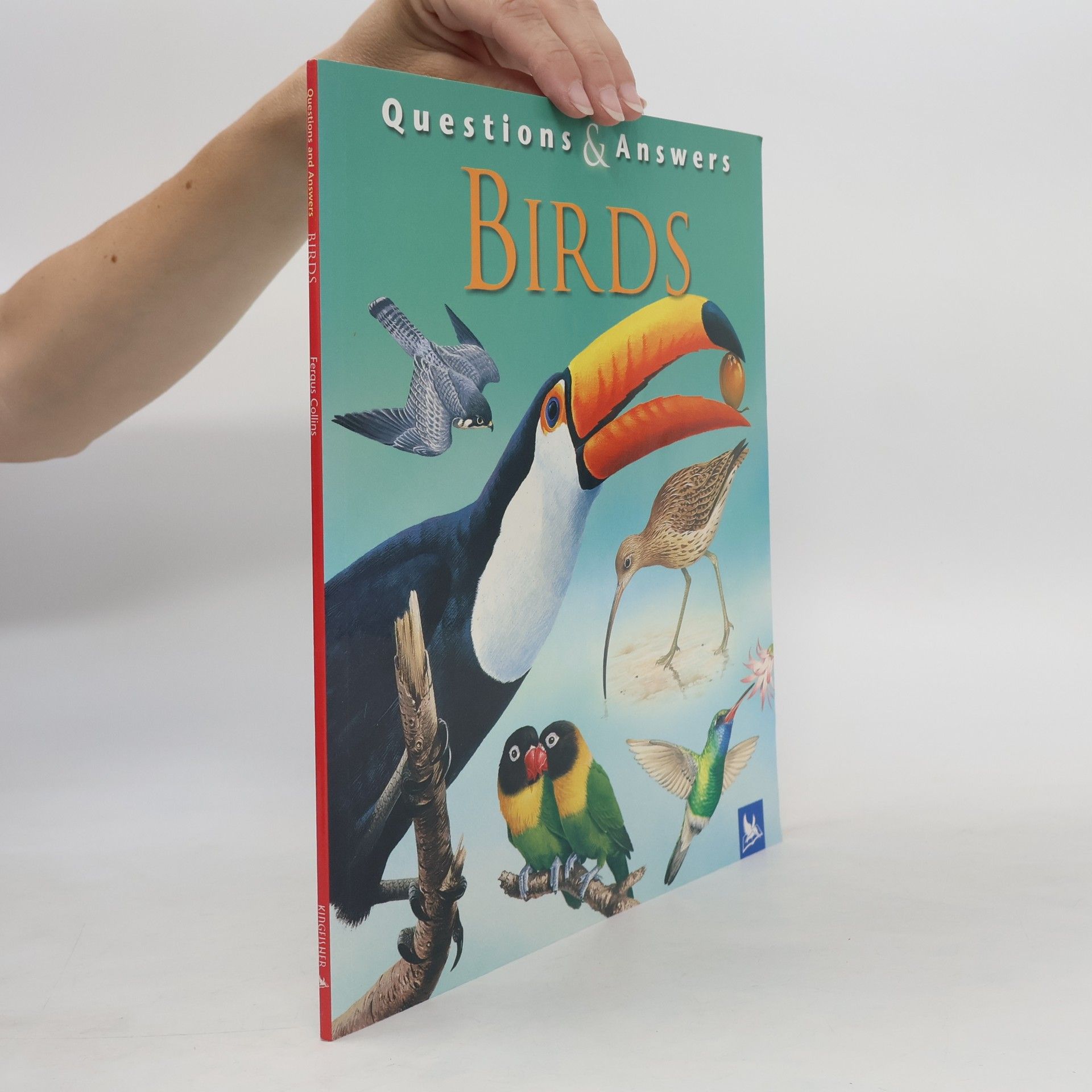 Fergus Collins Questions and Answers: Birds