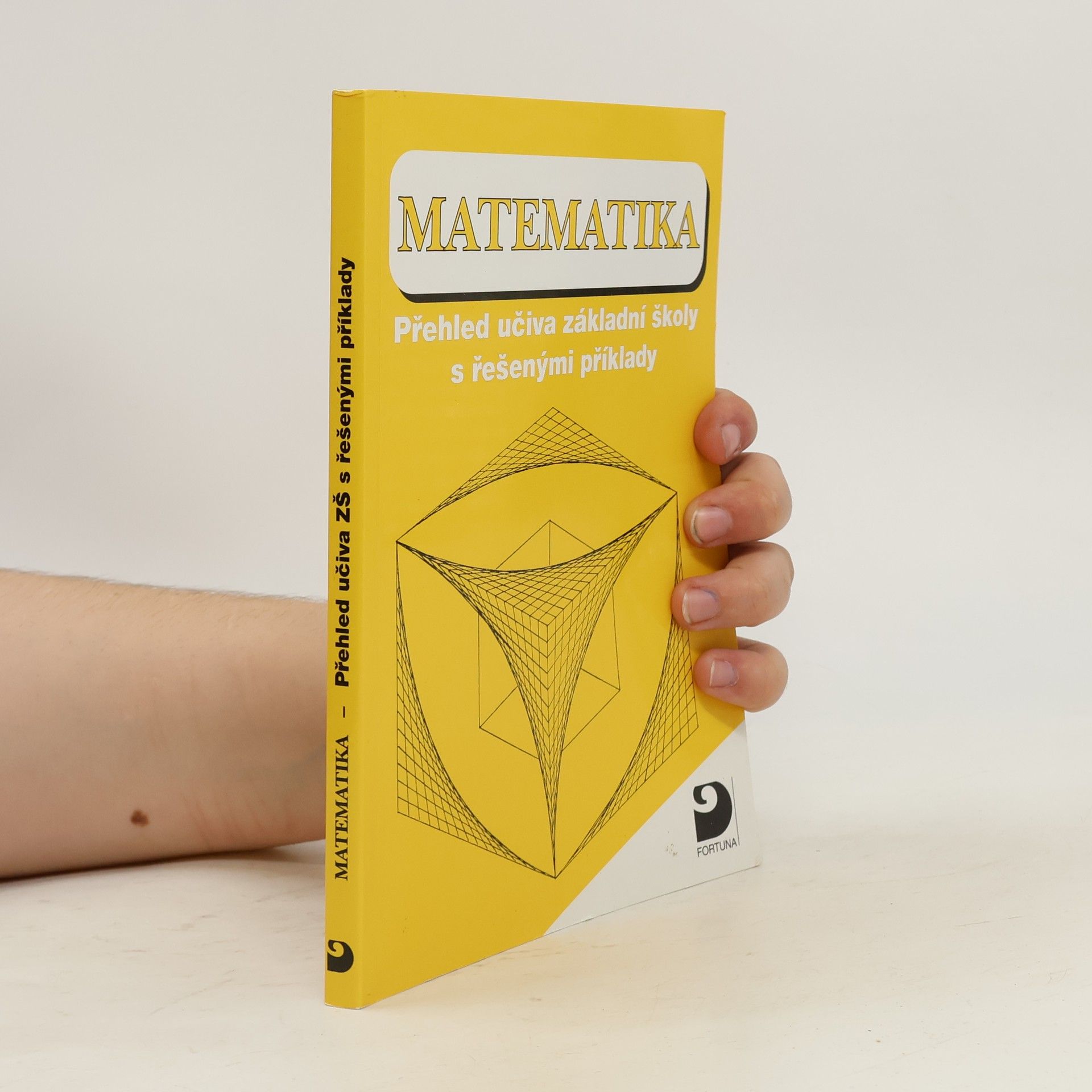 Matematika. Přehled učiva základní školy s řešenými příklady