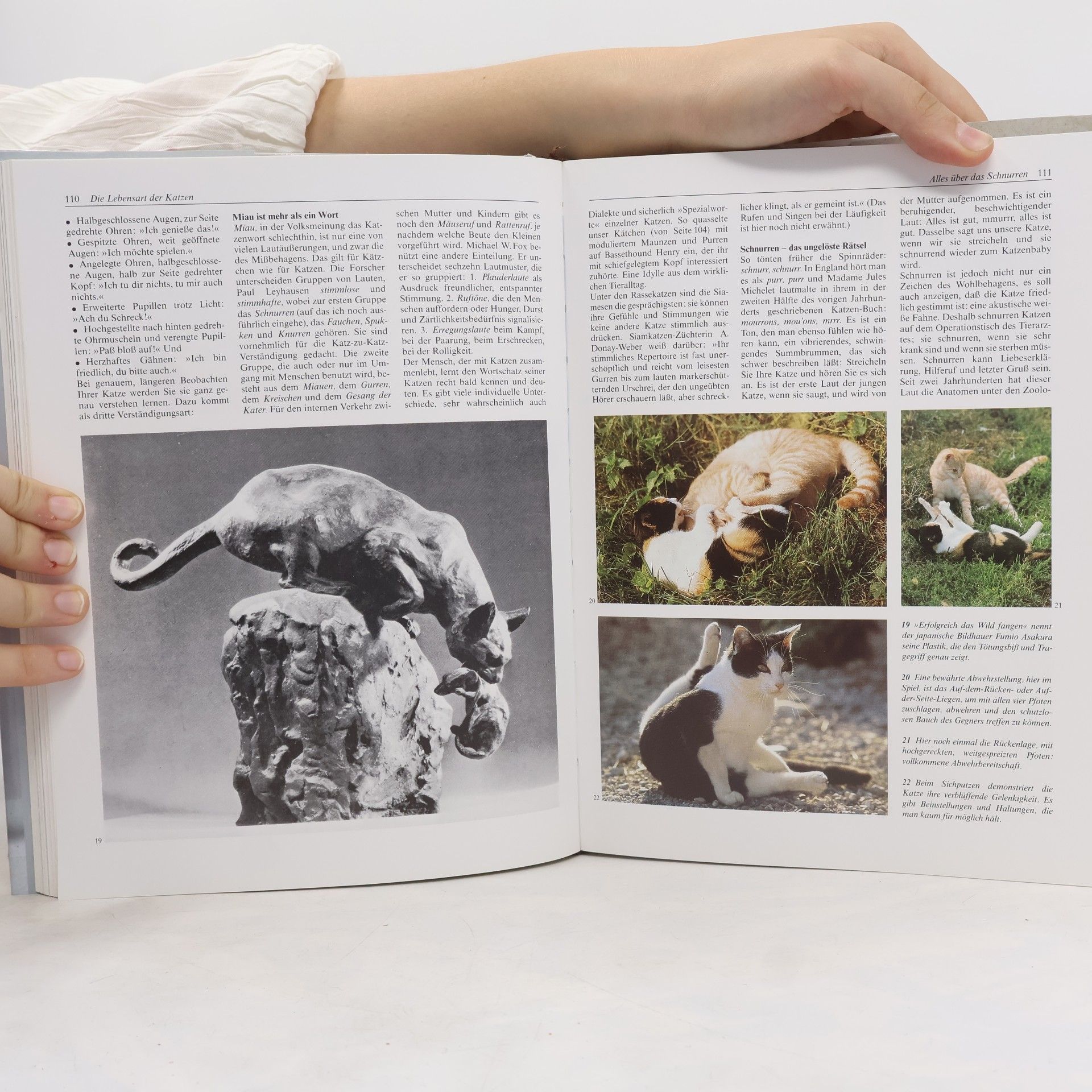 Ulrich Klever Knaurs grosses Katzenbuch