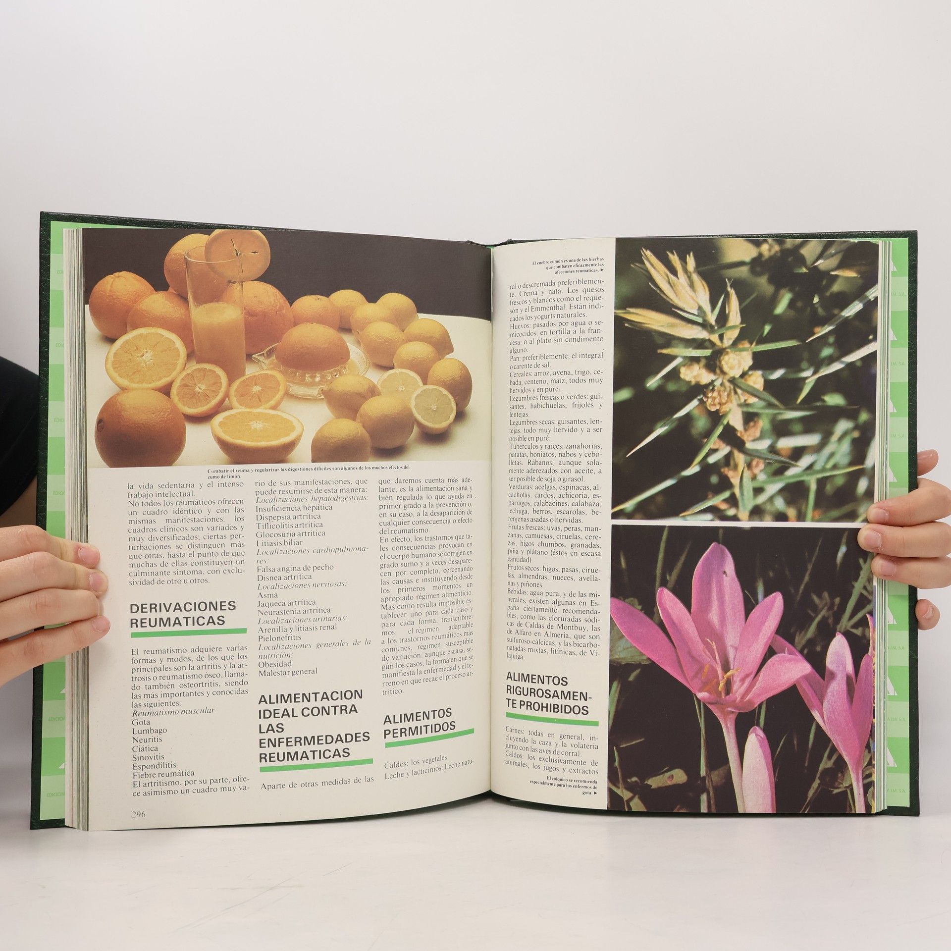 Autorenkollektiv Guía práctica de las plantas medicinales y la salud 2
