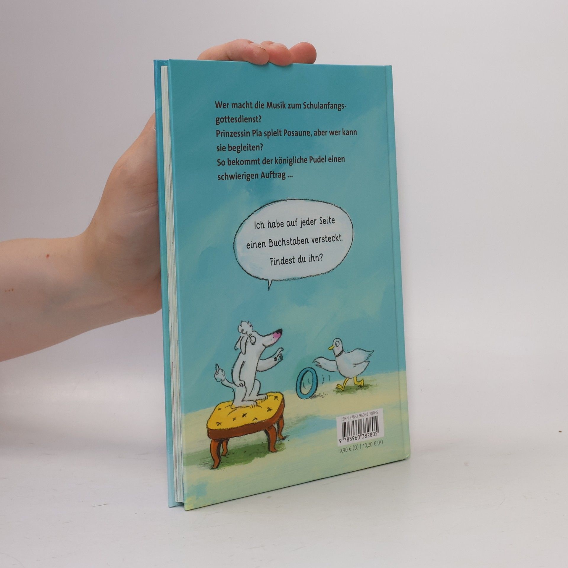 Katja Gehrmann Pudel, Pauken und ein Plan