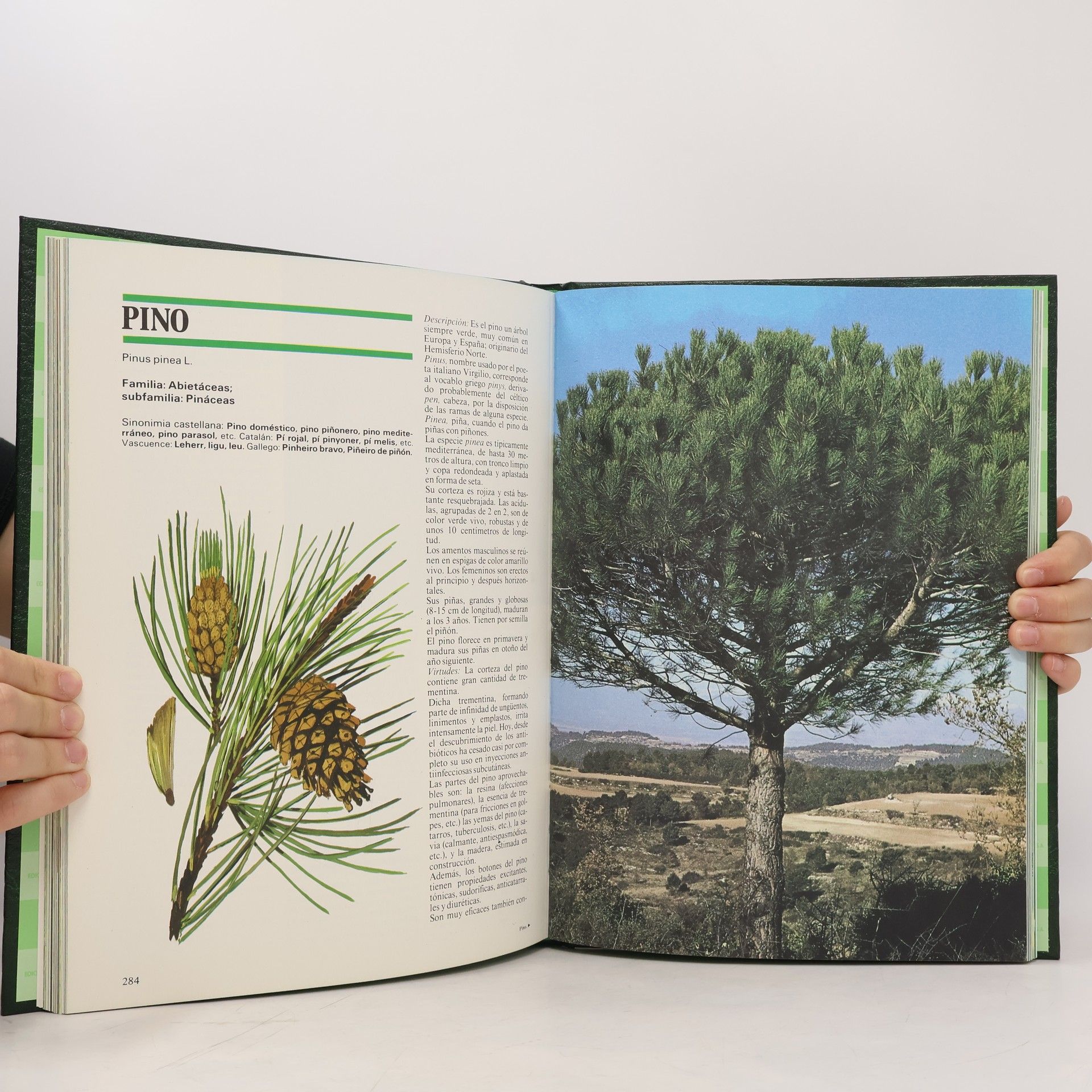 Collectif d'auteurs Guia Práctica de las Plantas Medicinales y la Salud 4