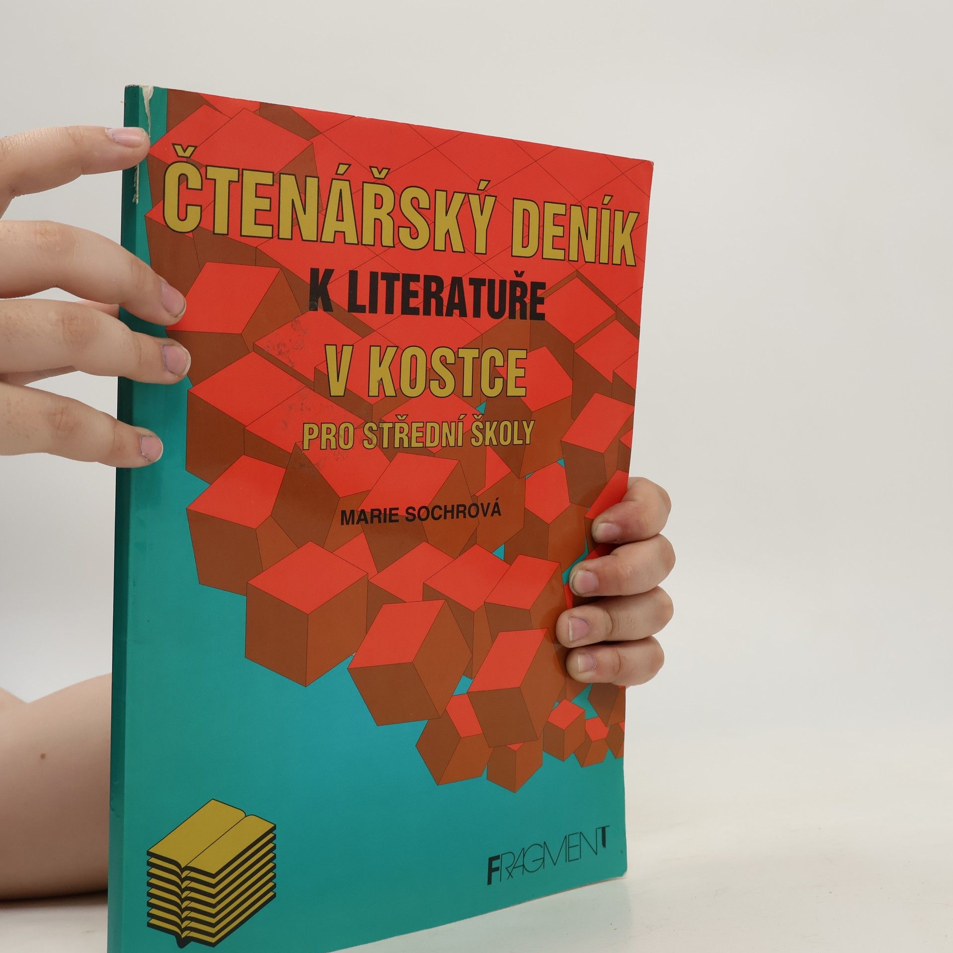 Marie Sochrová Čtenářský deník k Literatuře v kostce