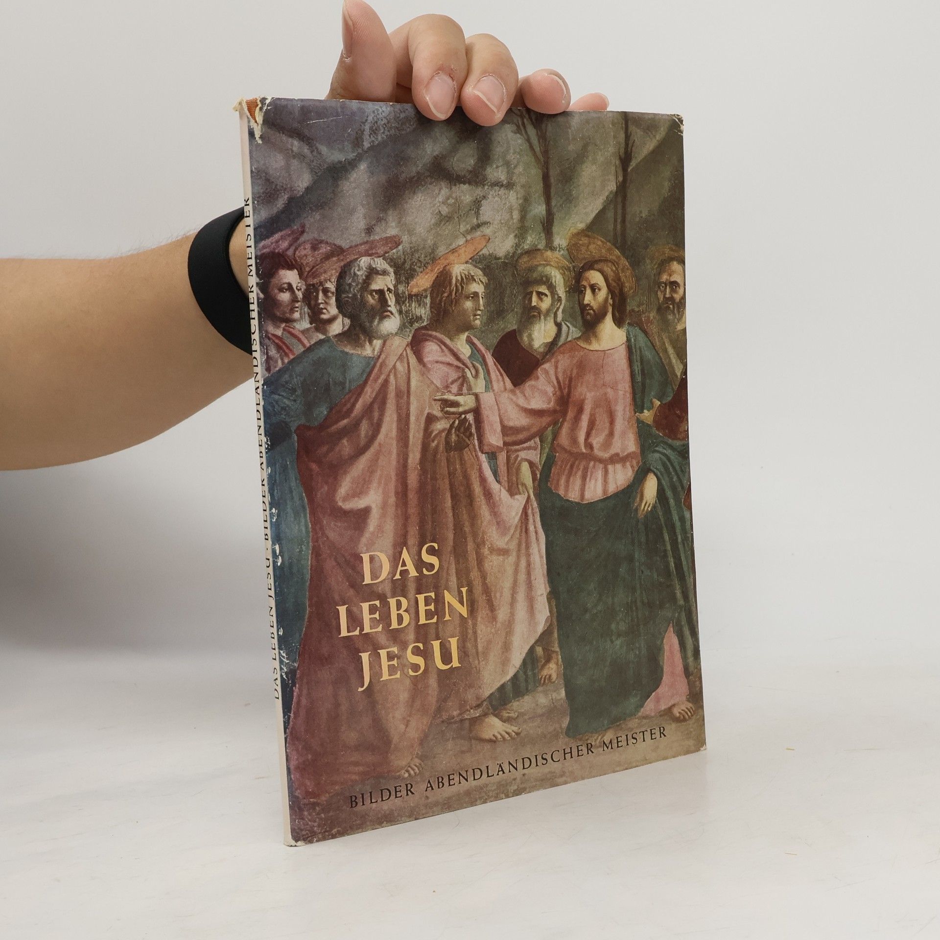 Auteurscollectief Das Leben Jesu