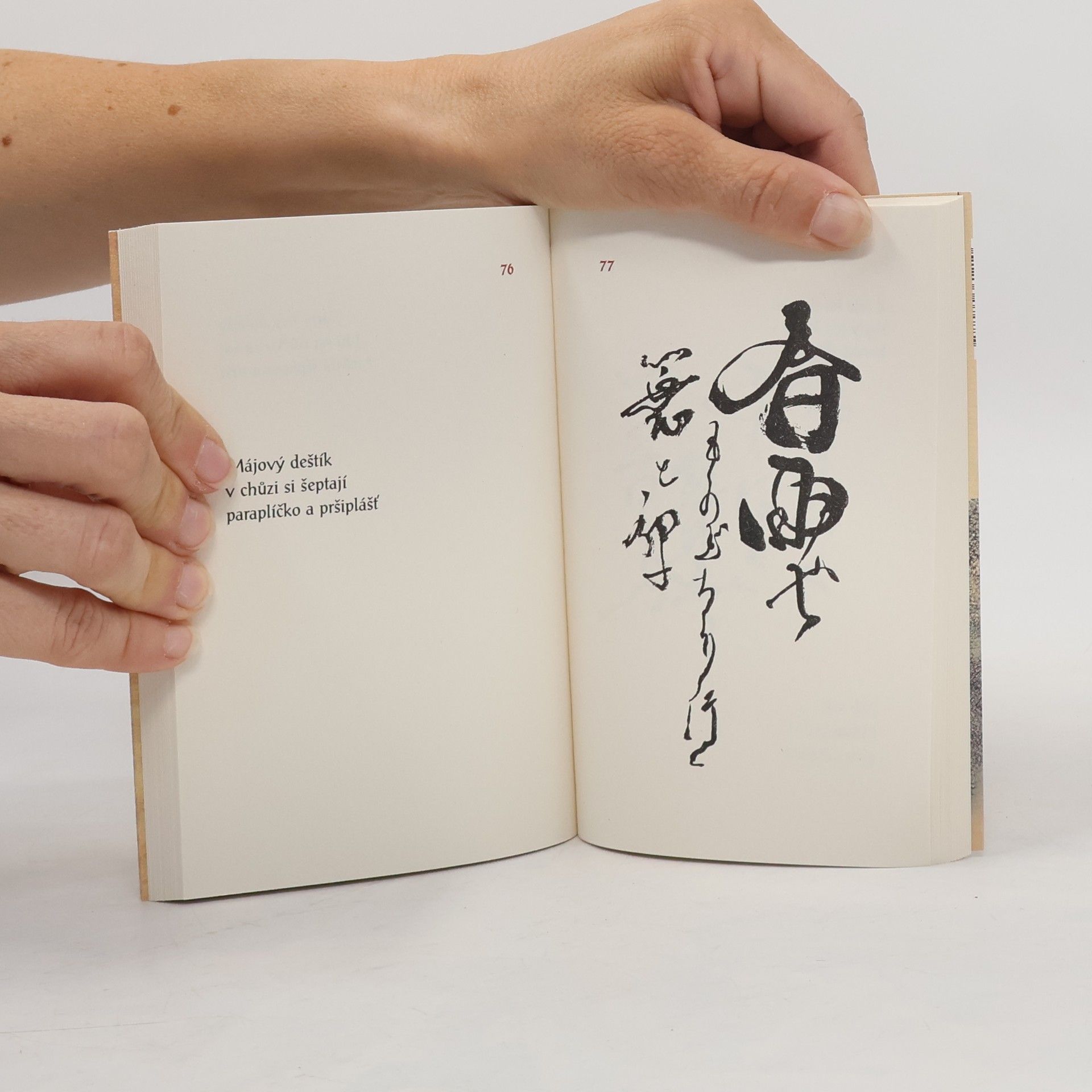 Petr Geisler Pár much a já : malý výběr z japonských haiku
