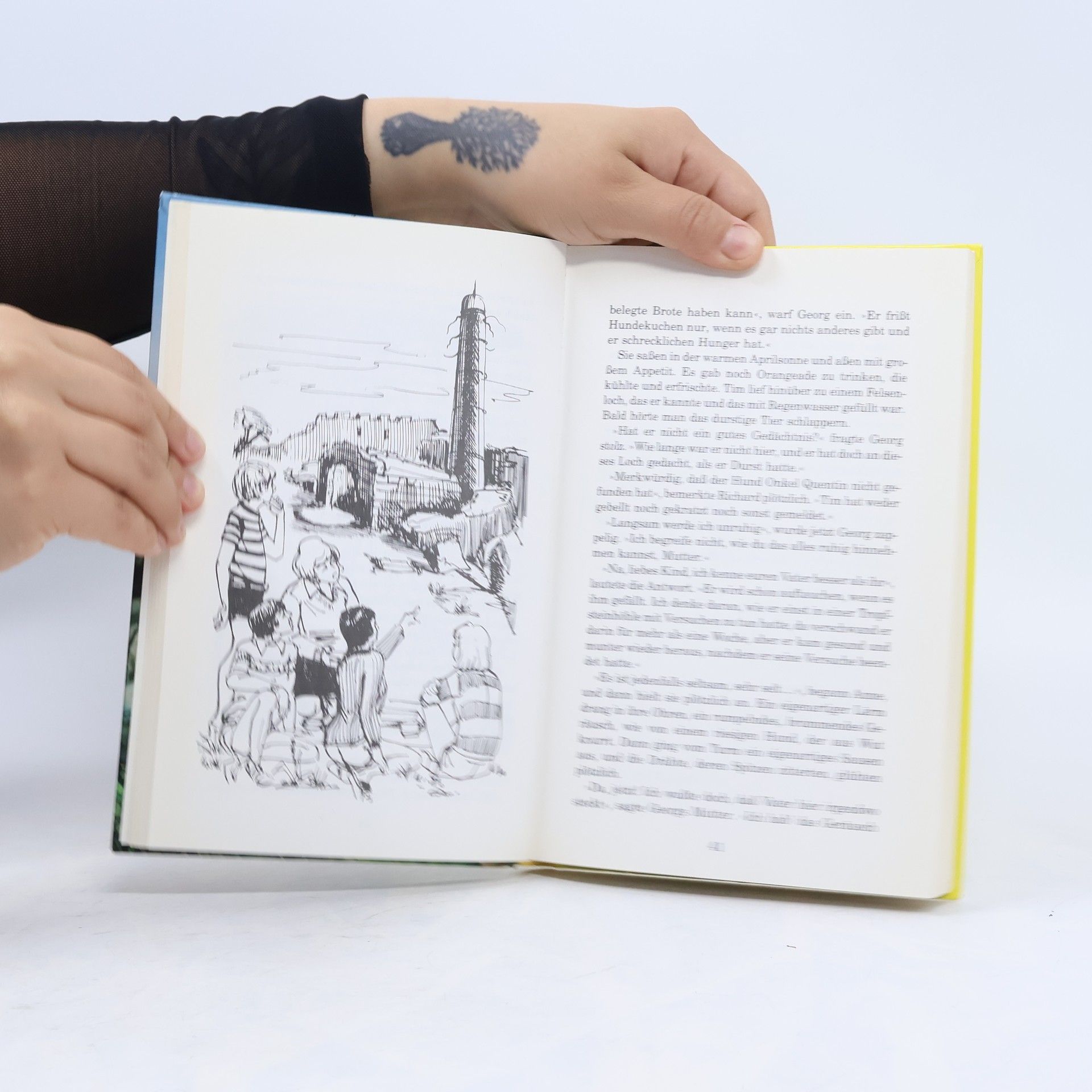 Enid Blyton Fünf Freunde auf de Felseninsel