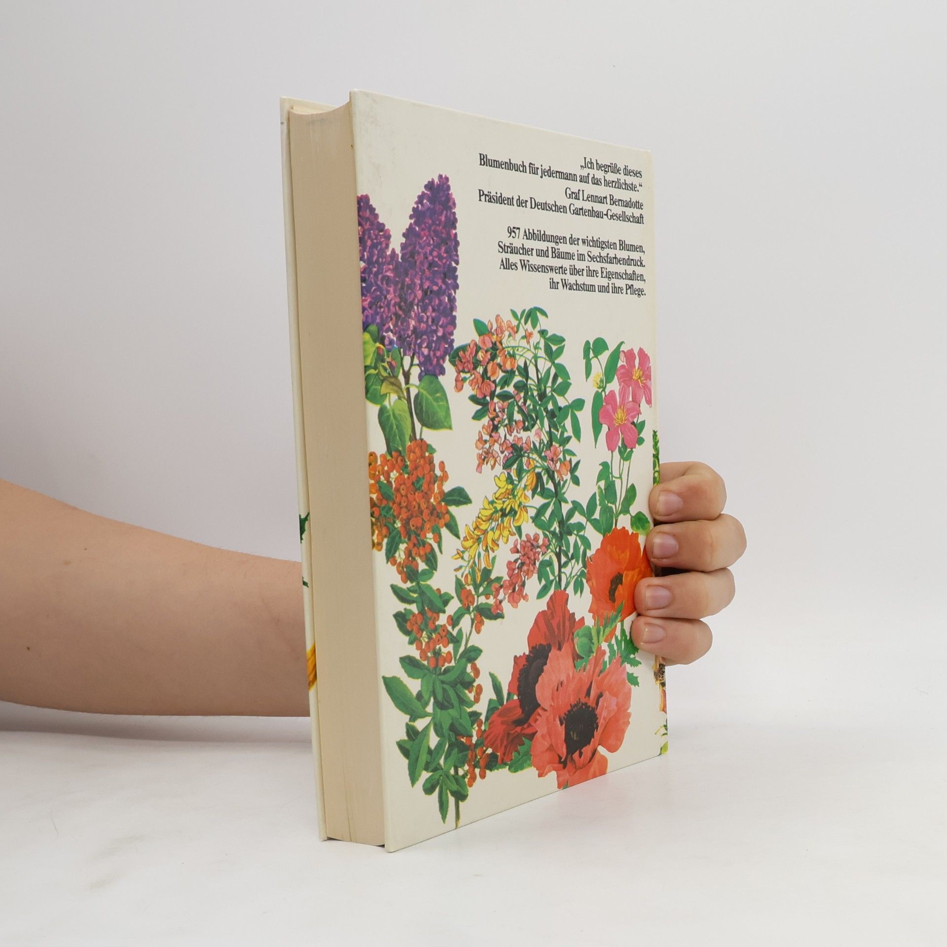 Collectif d'auteurs Das bunte Blumenbuch