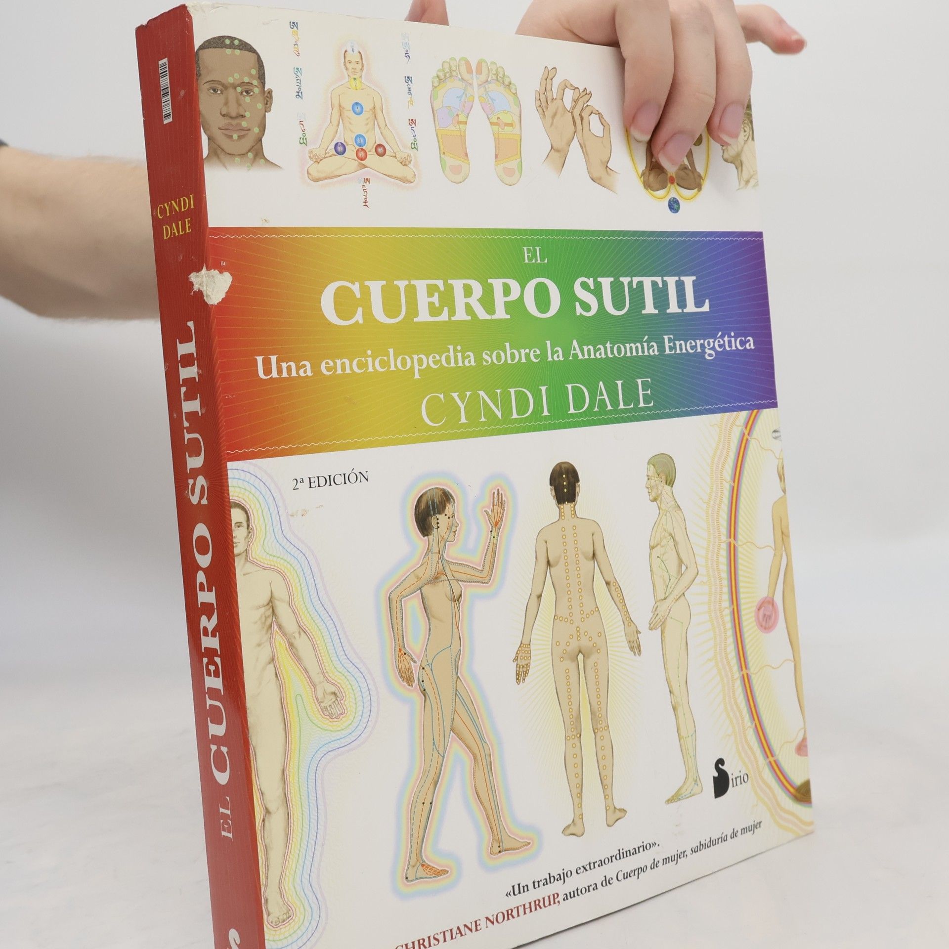 Cuerpo Sutil, El - 2ª edición