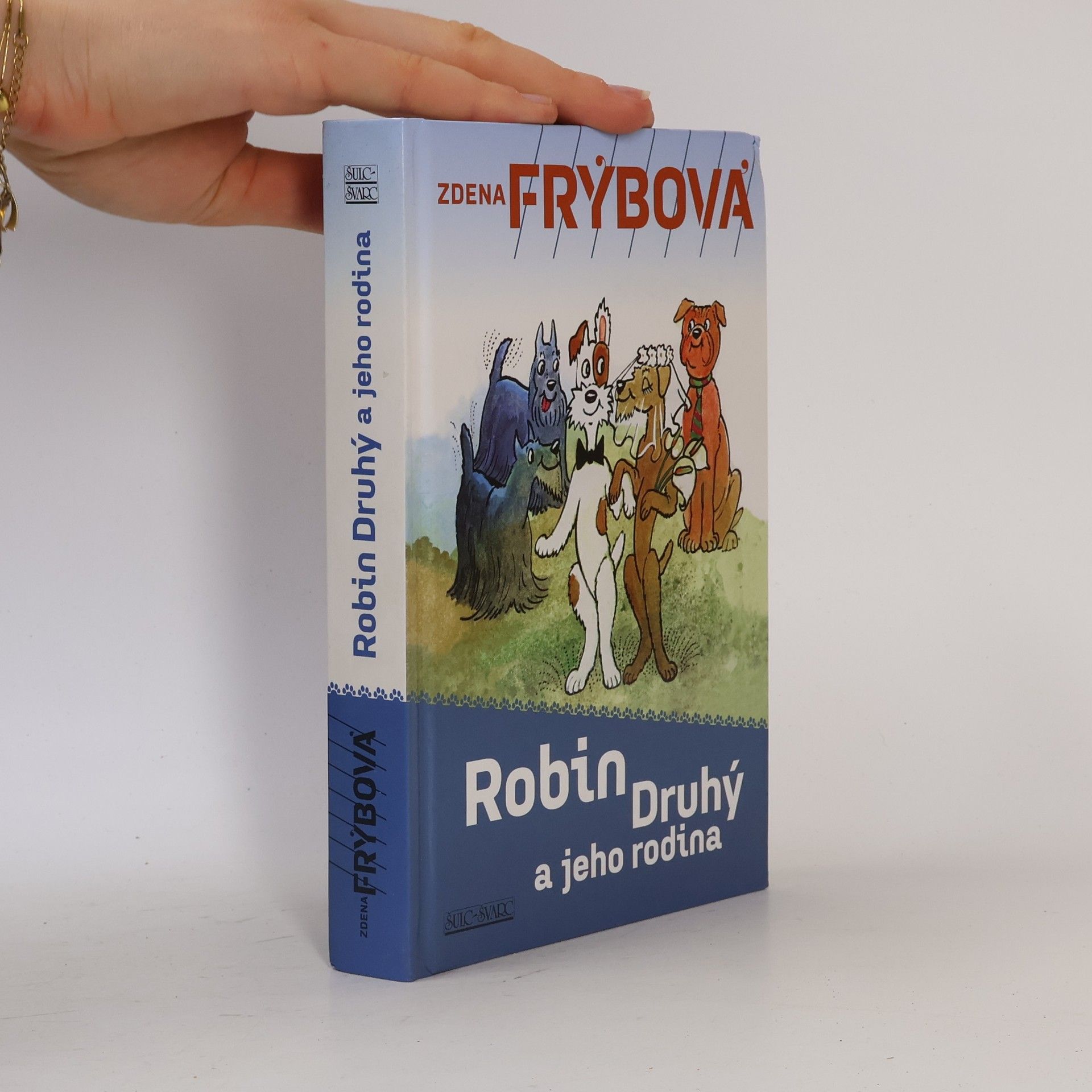Zdena Frýbová Robin druhý a jeho rodina