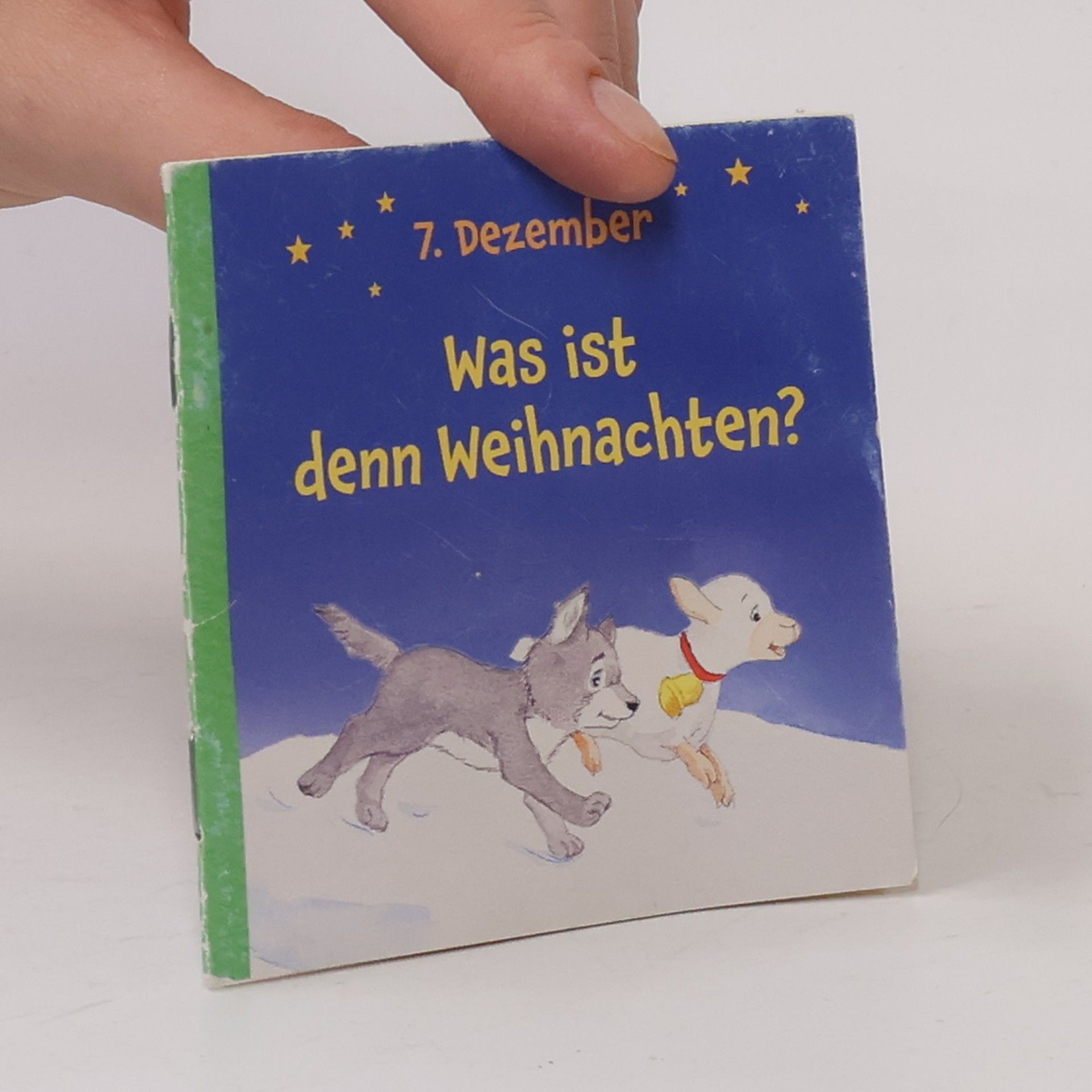 Katharina Wilhelm Rica und das Weihnachtsabenteuer