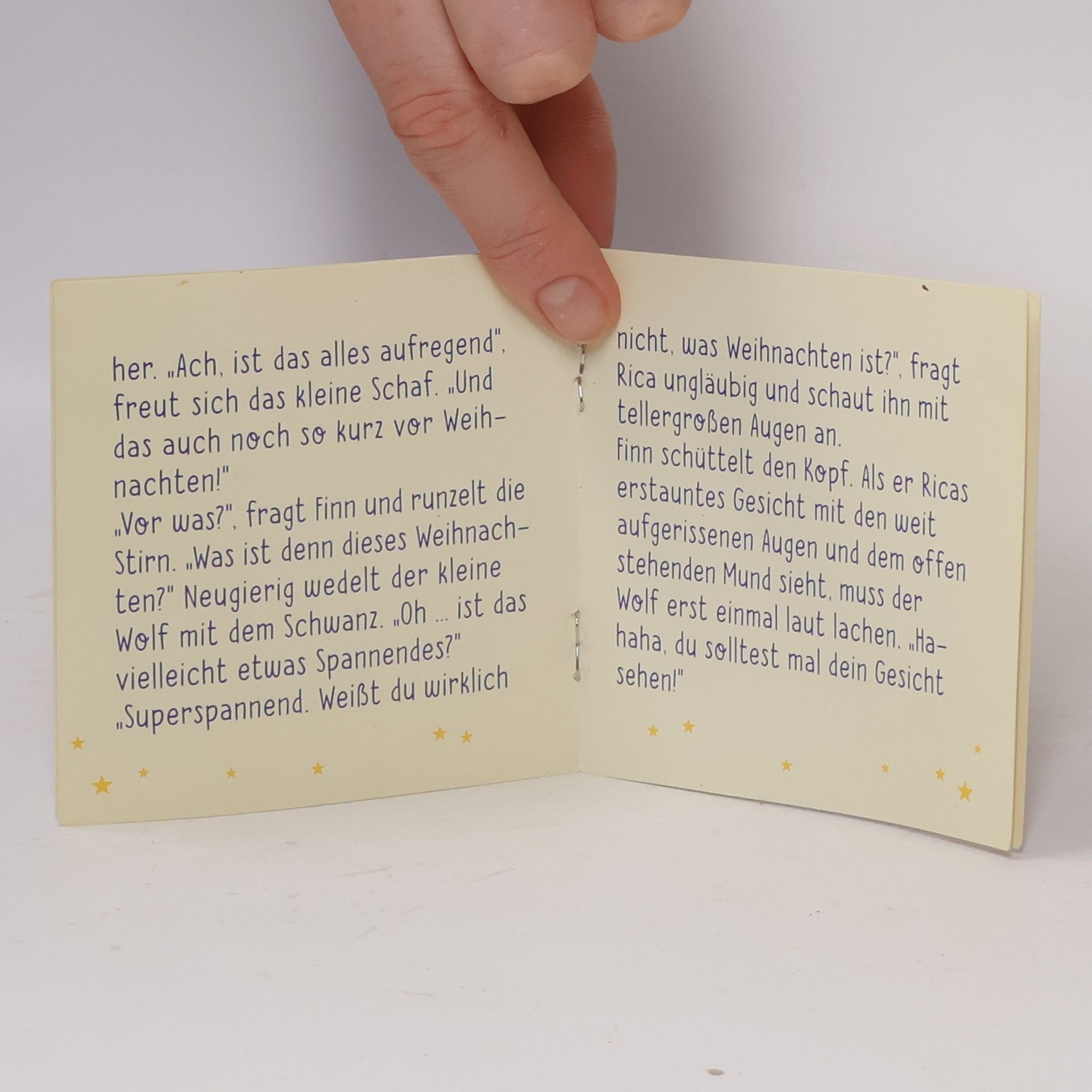 Katharina Wilhelm Rica und das Weihnachtsabenteuer