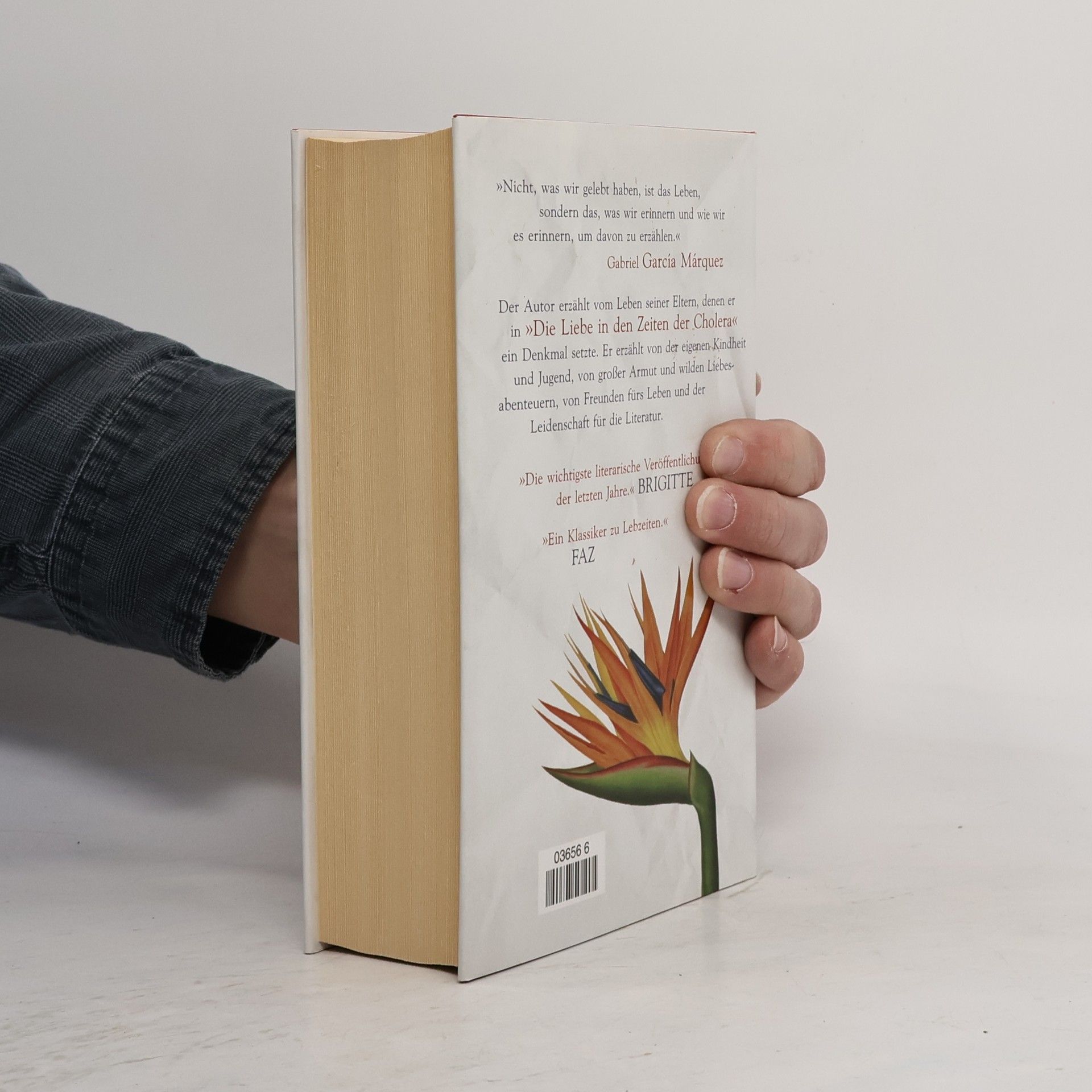 Gabriel García Márquez Leben, um davon zu erzählen