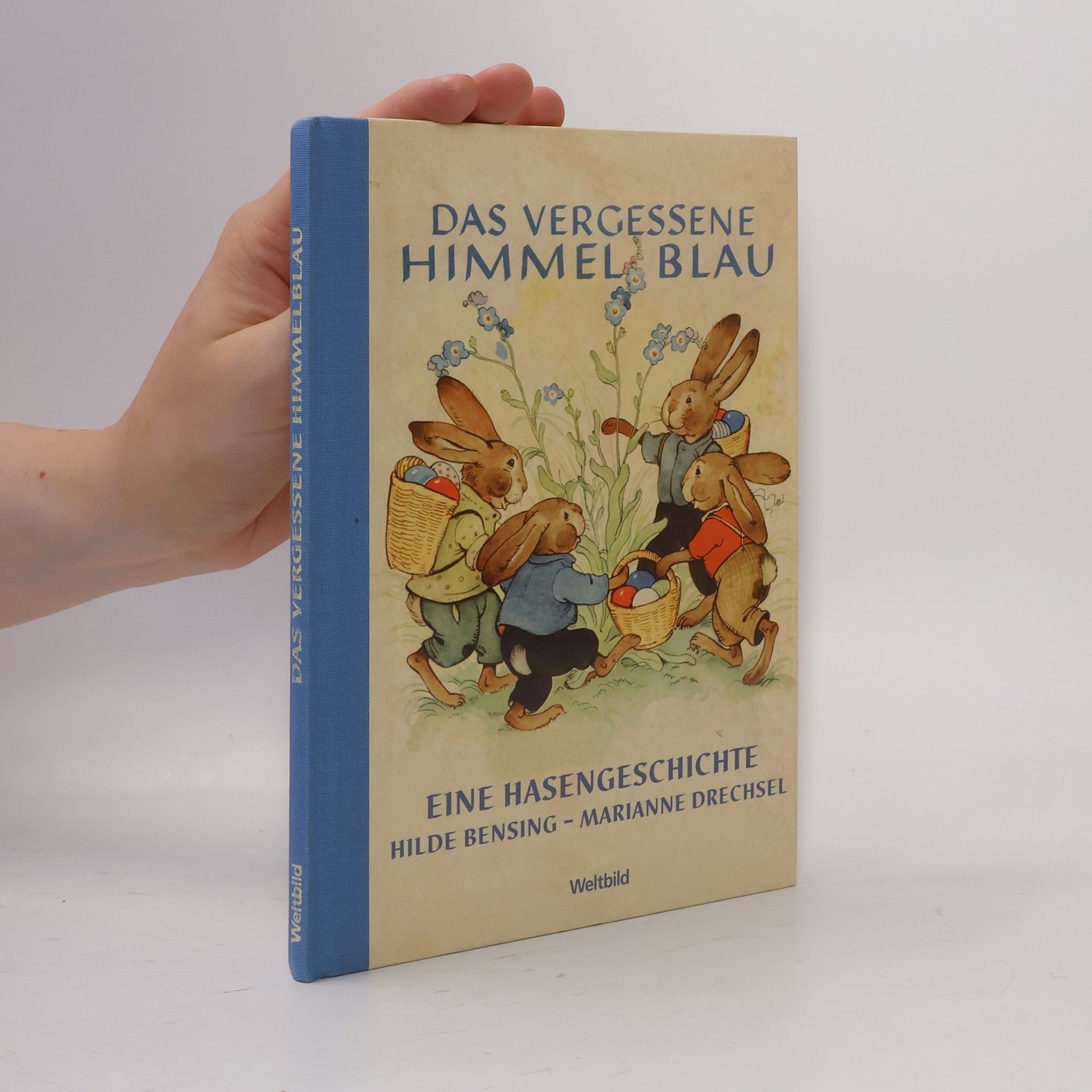 Marianne Drechsel Das vergessene Himmelblau