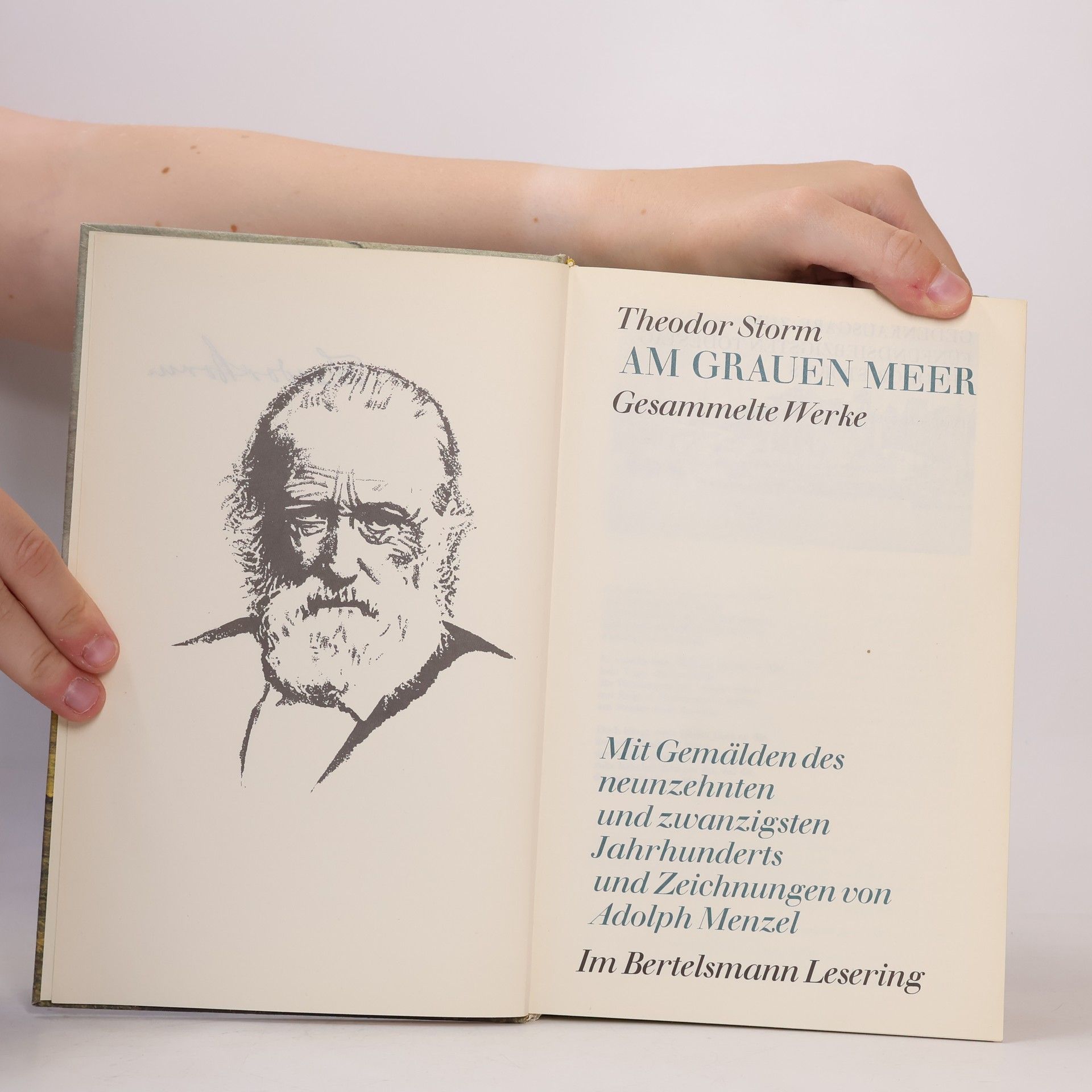 Theodor Storm Am Grauen Meer. Storms Gesammelte Werke