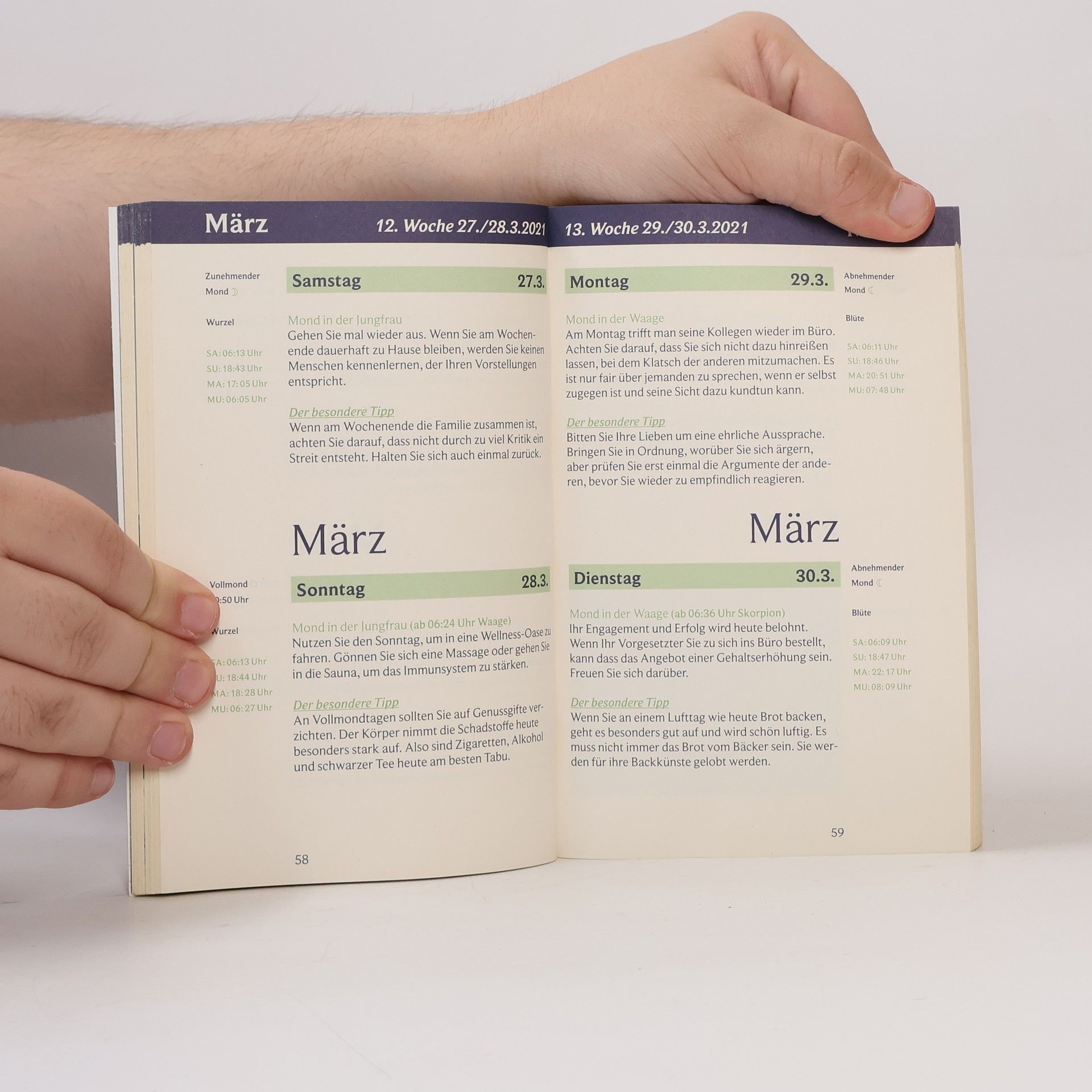 Dorothea Hengstberger Mondkalender 2021 Taschenkalender