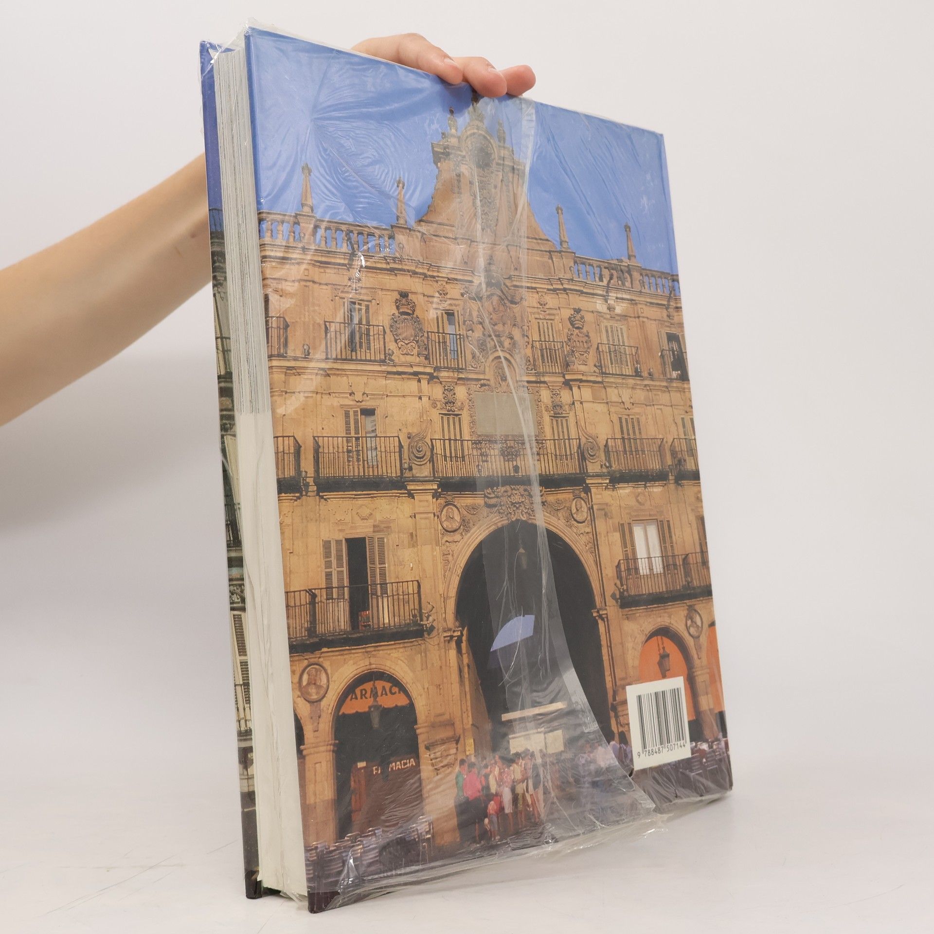 Teresa Avellanosa Caro Patrimonio cultural de España: Plazas mayores de España